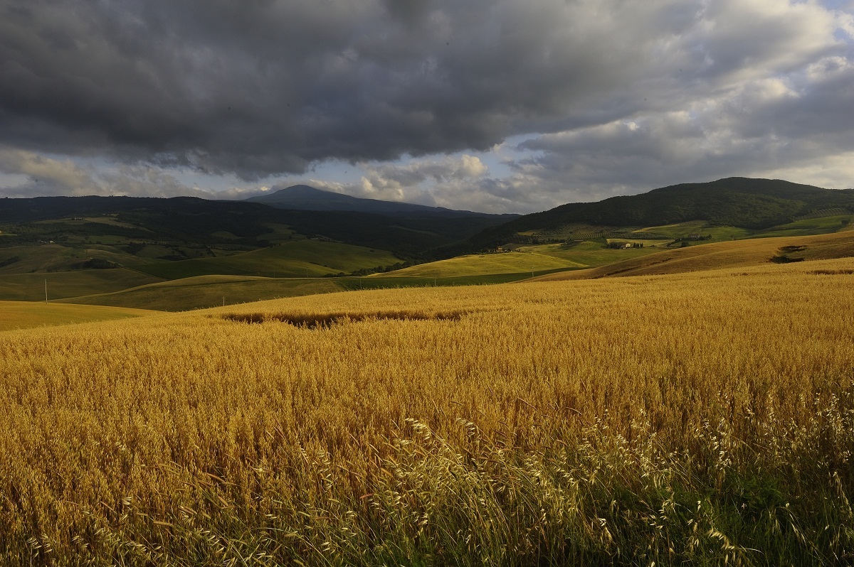 Val d'Orcia
