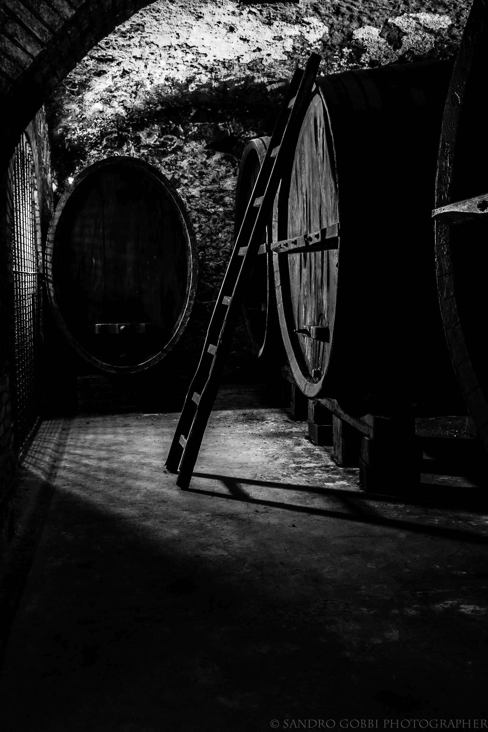 muvis Museo del Vino Castiglione in Teverina