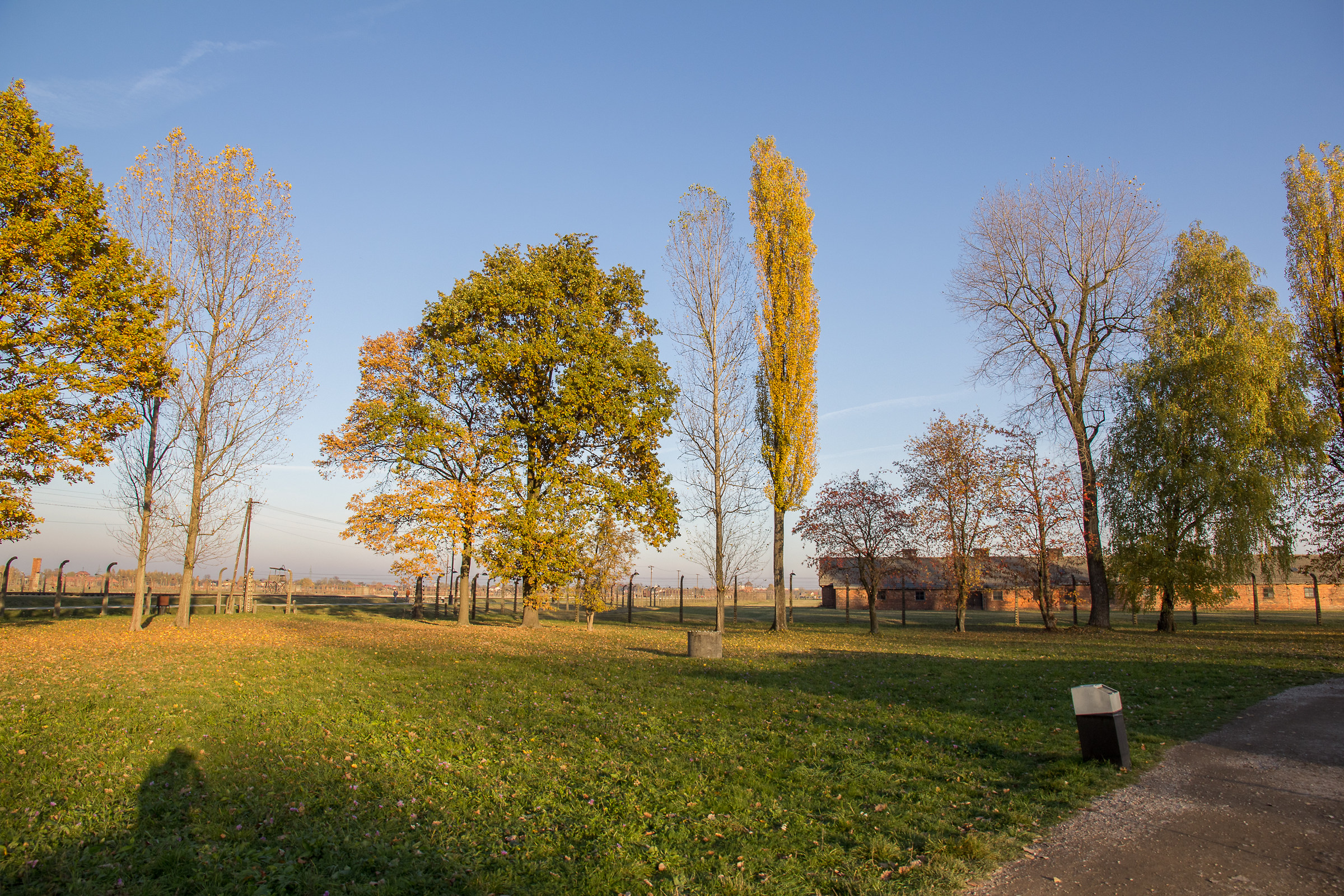 Campo Birkenau