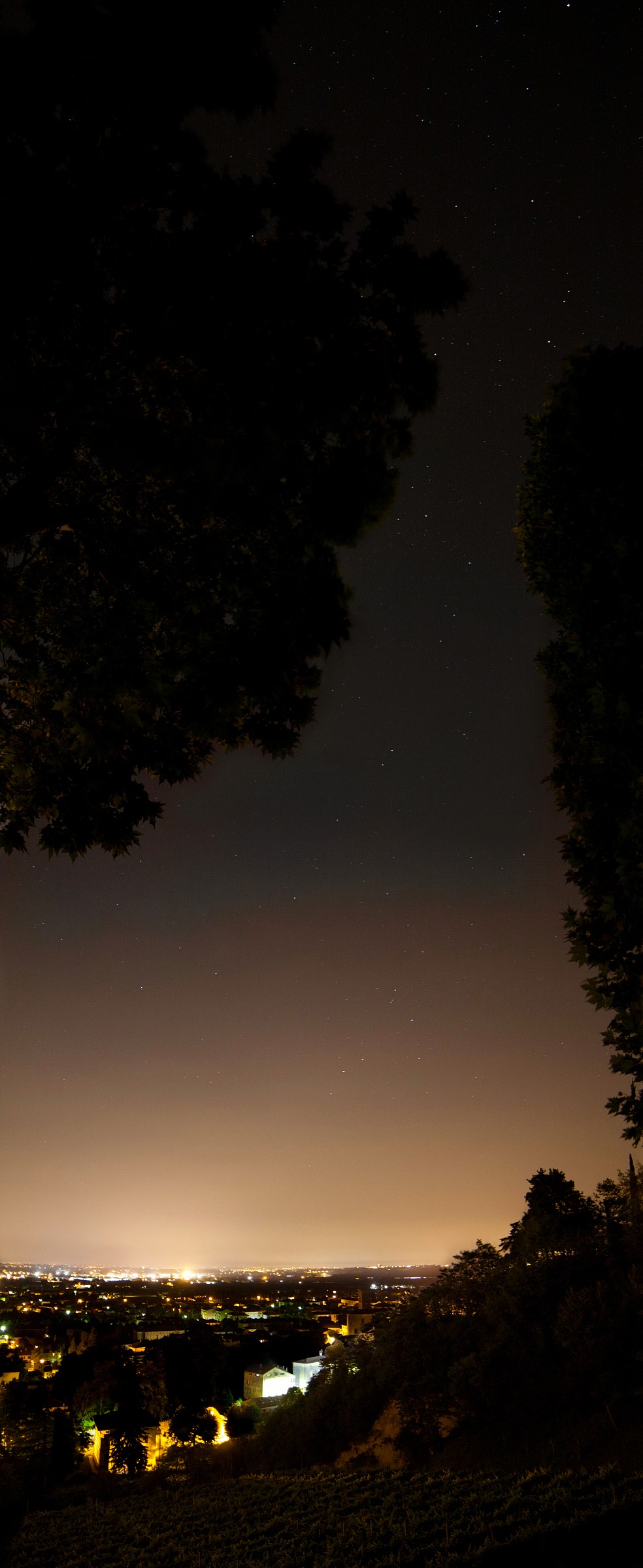 lights of the city II