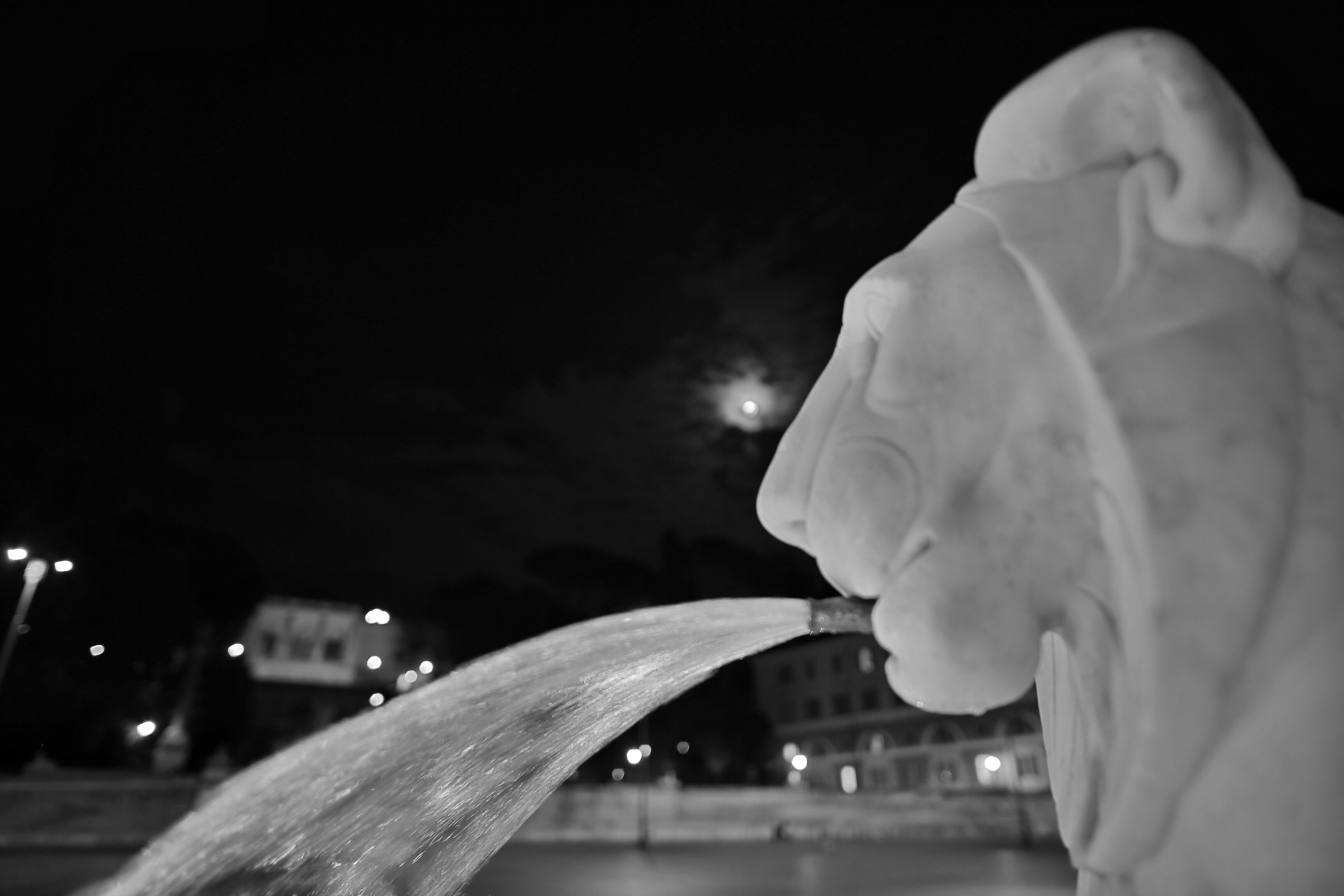 Lions in Piazza del Popolo