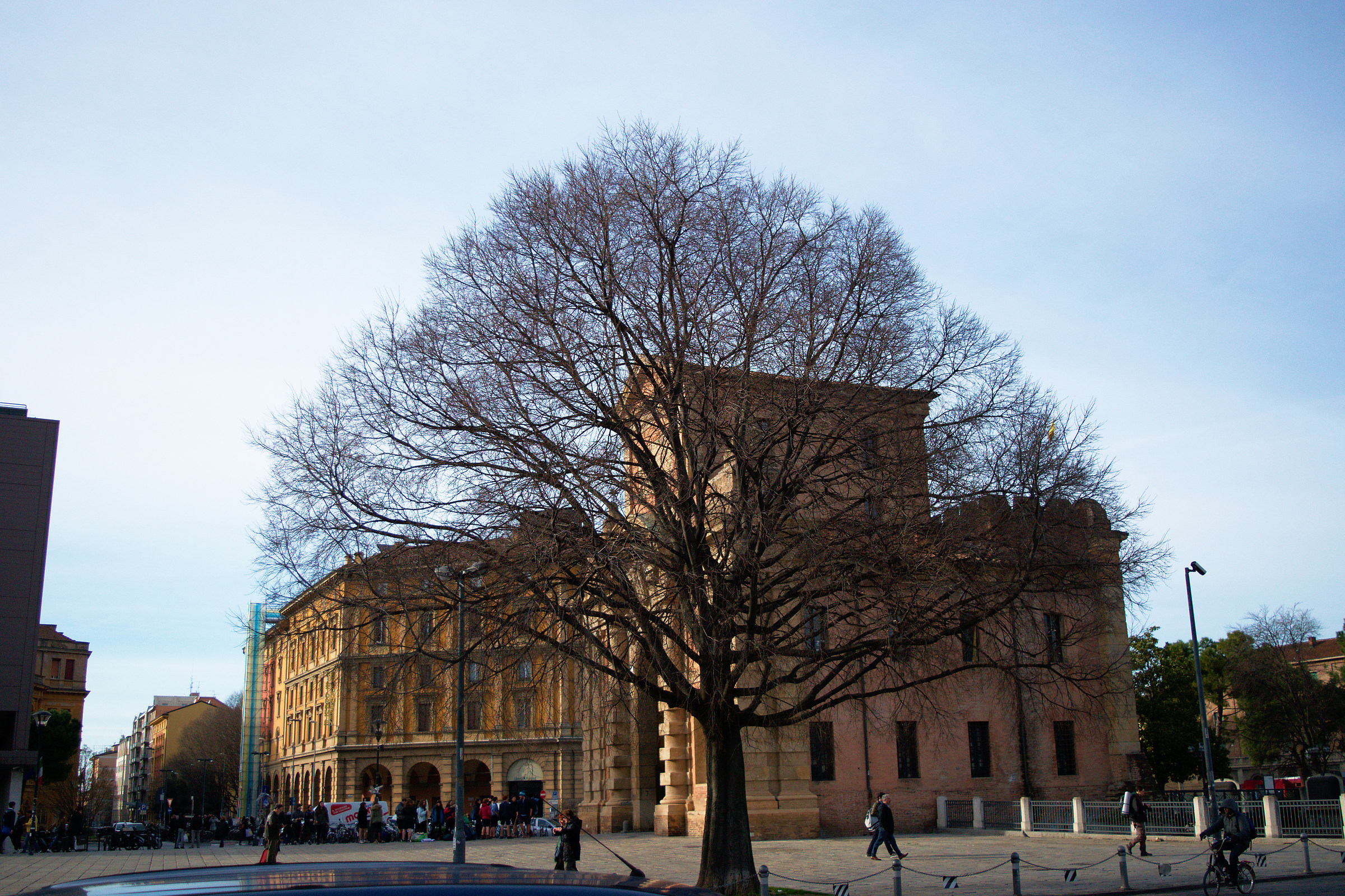 La natura vince sull'architettura