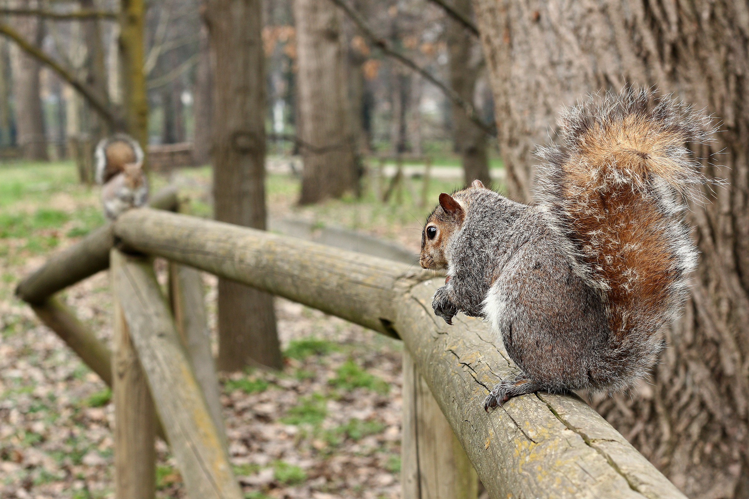 Io di qua e tu di la