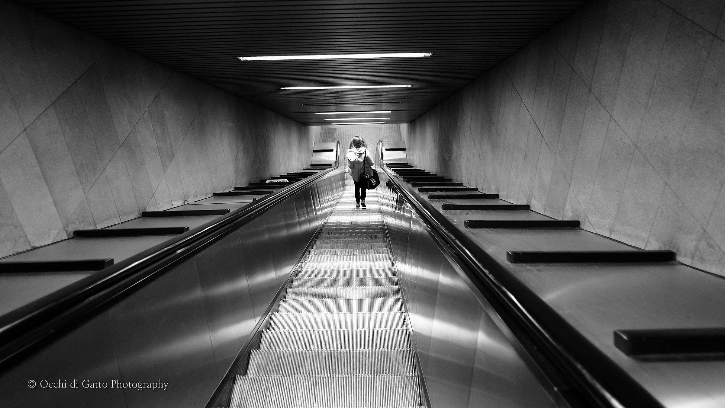 Milan, 25/02/2016 n. 2