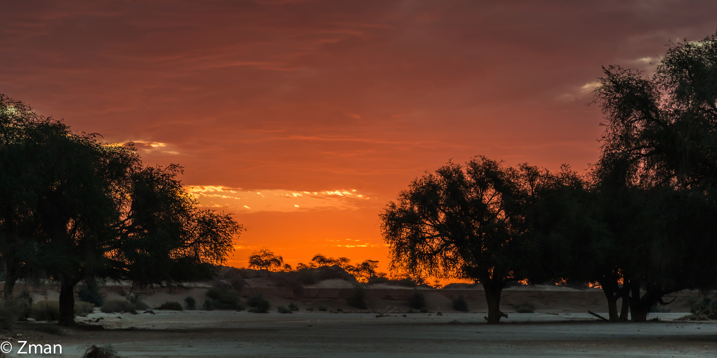 Hoanib Acacia trees and sunset