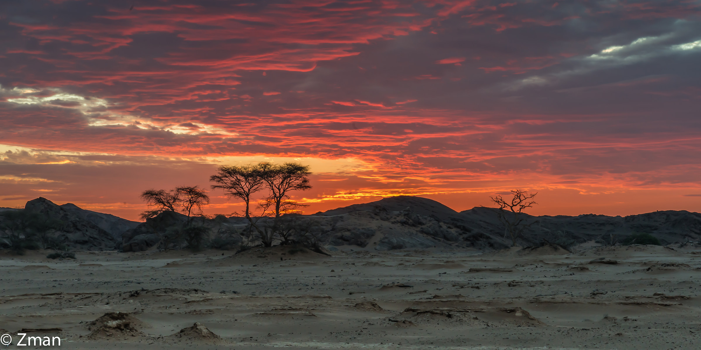 Hoanib Acacia trees and sunset