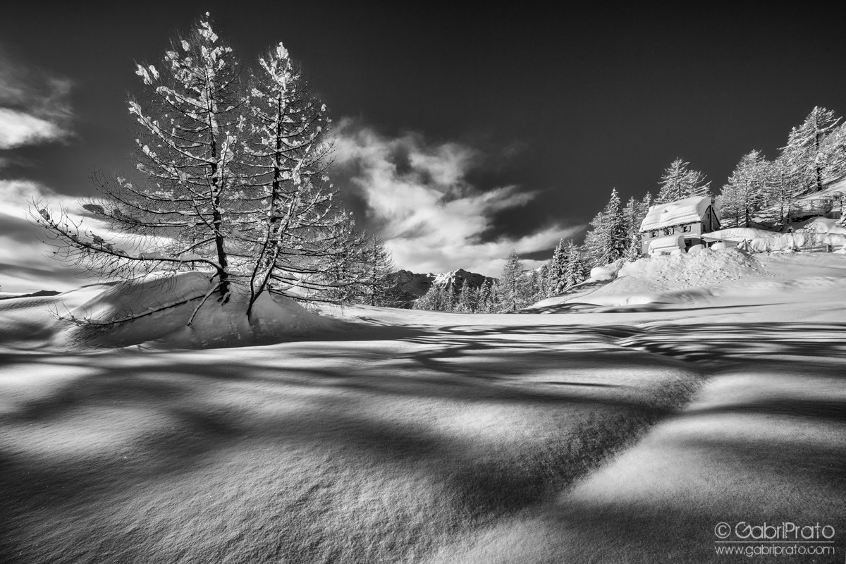 Between light and shadow