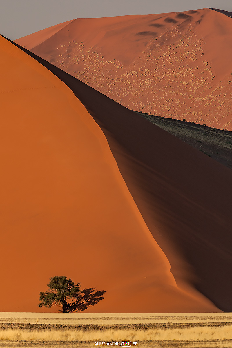 Namib