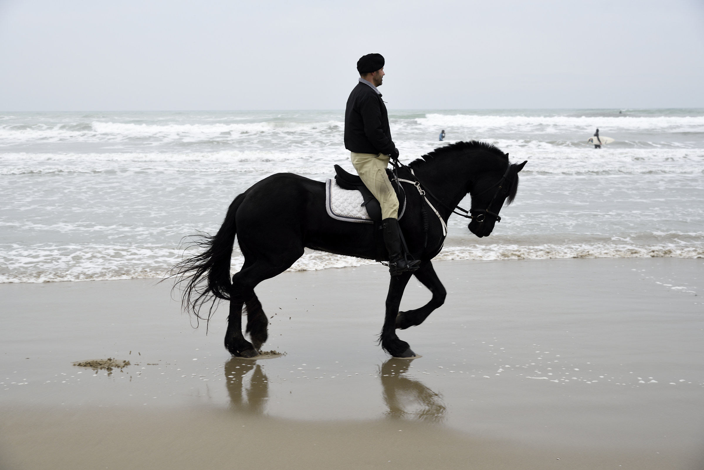 The rider trotting on the shore