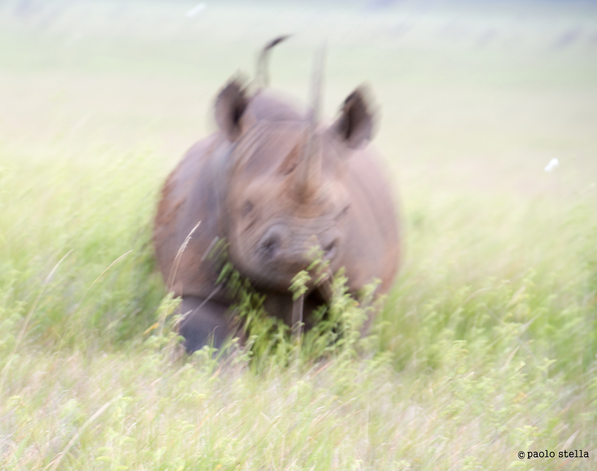 Blur ... scary .....