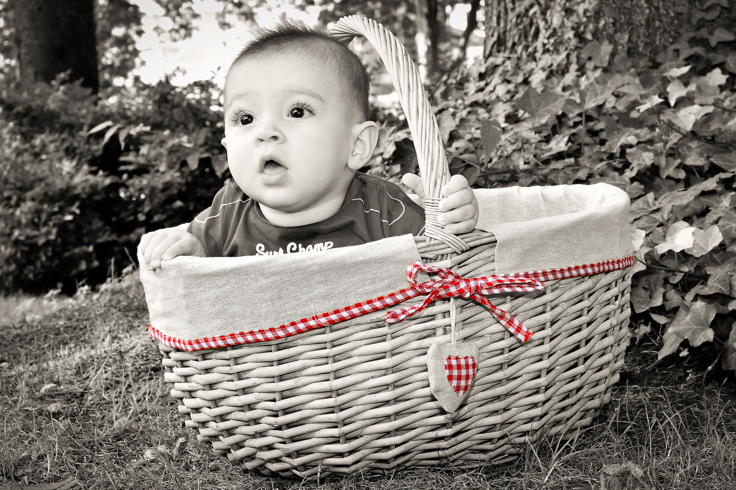 The surprise in the basket ..