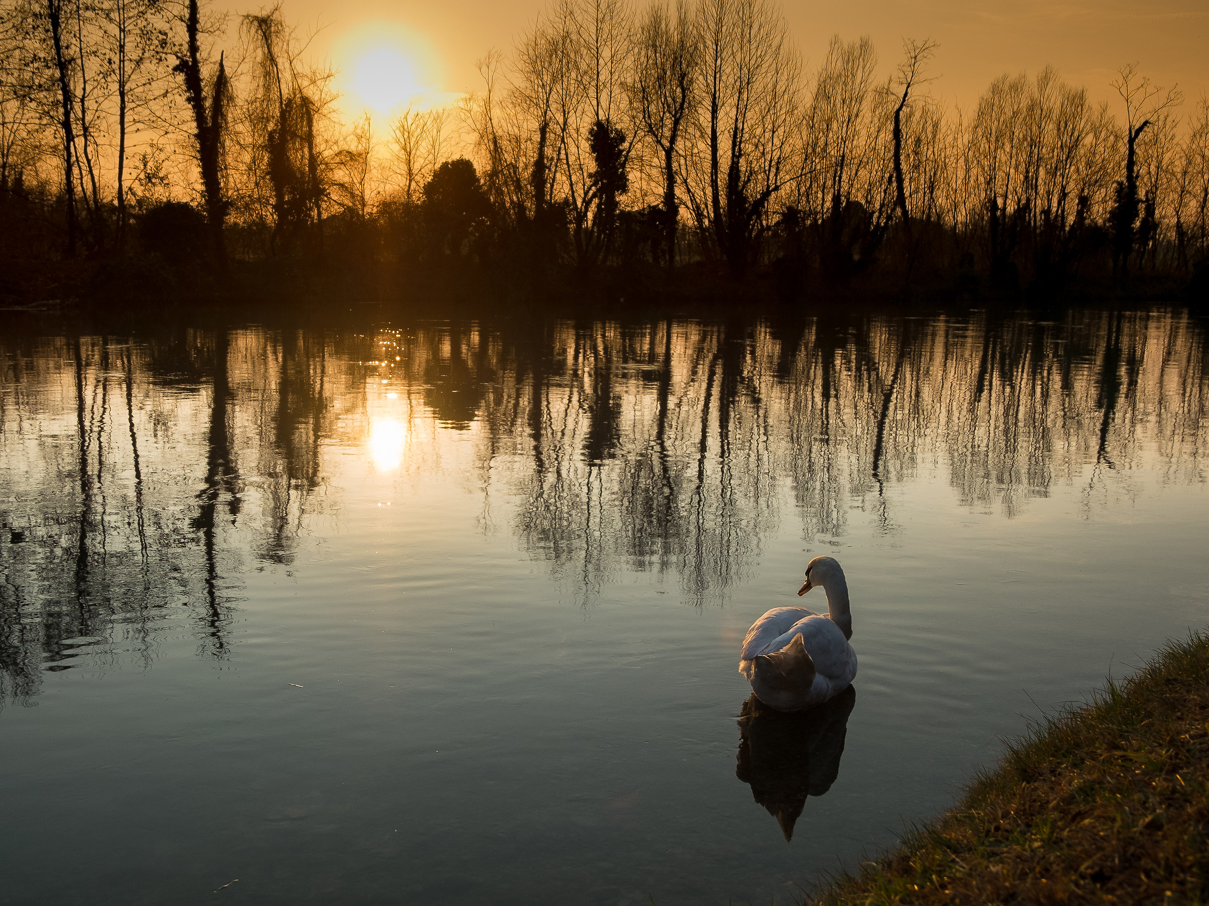 Il tramonto è bello da qui