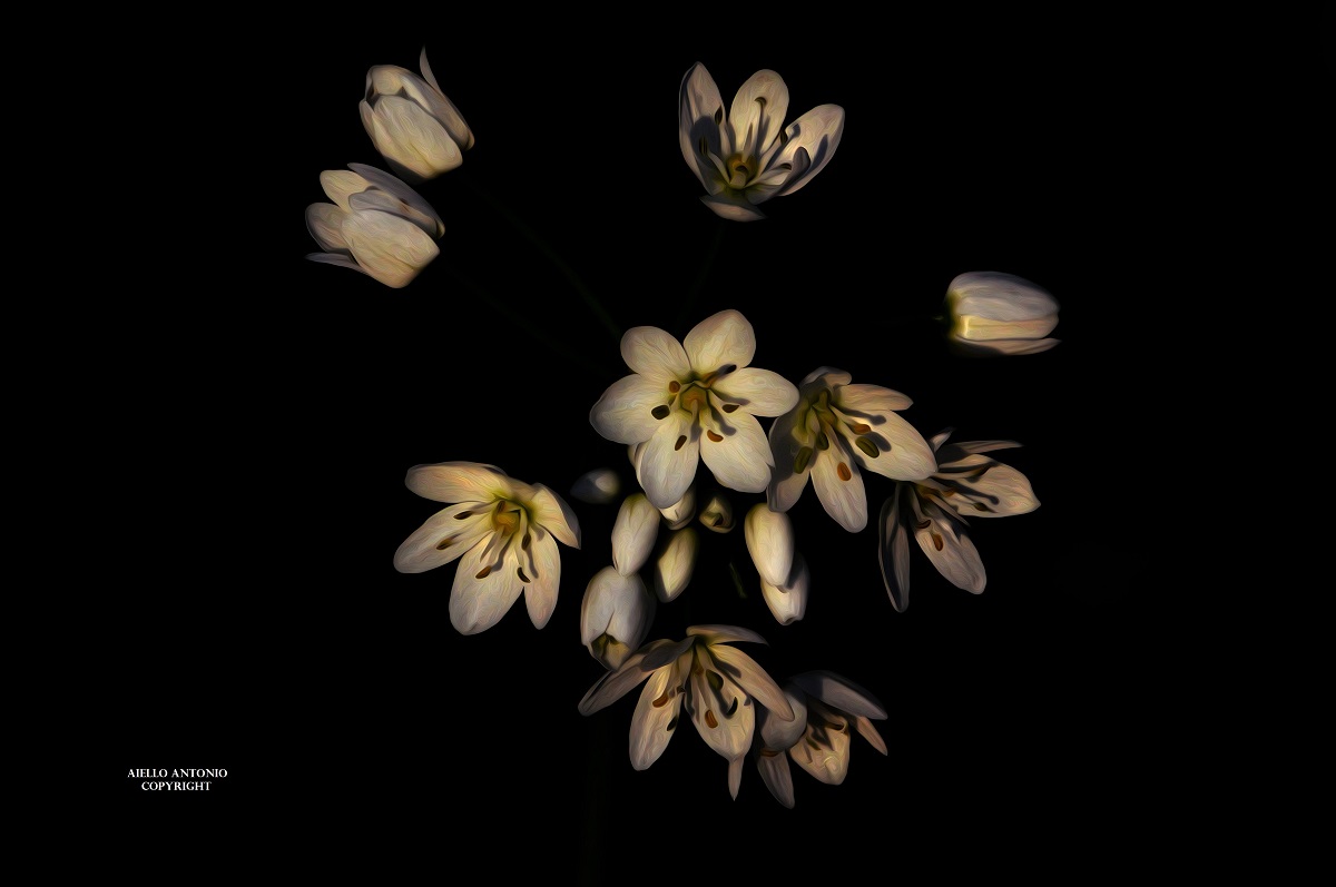 Nature's magnificence