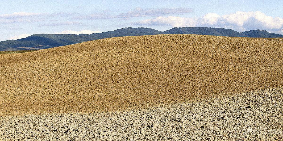 Val d'Orcia (Si)