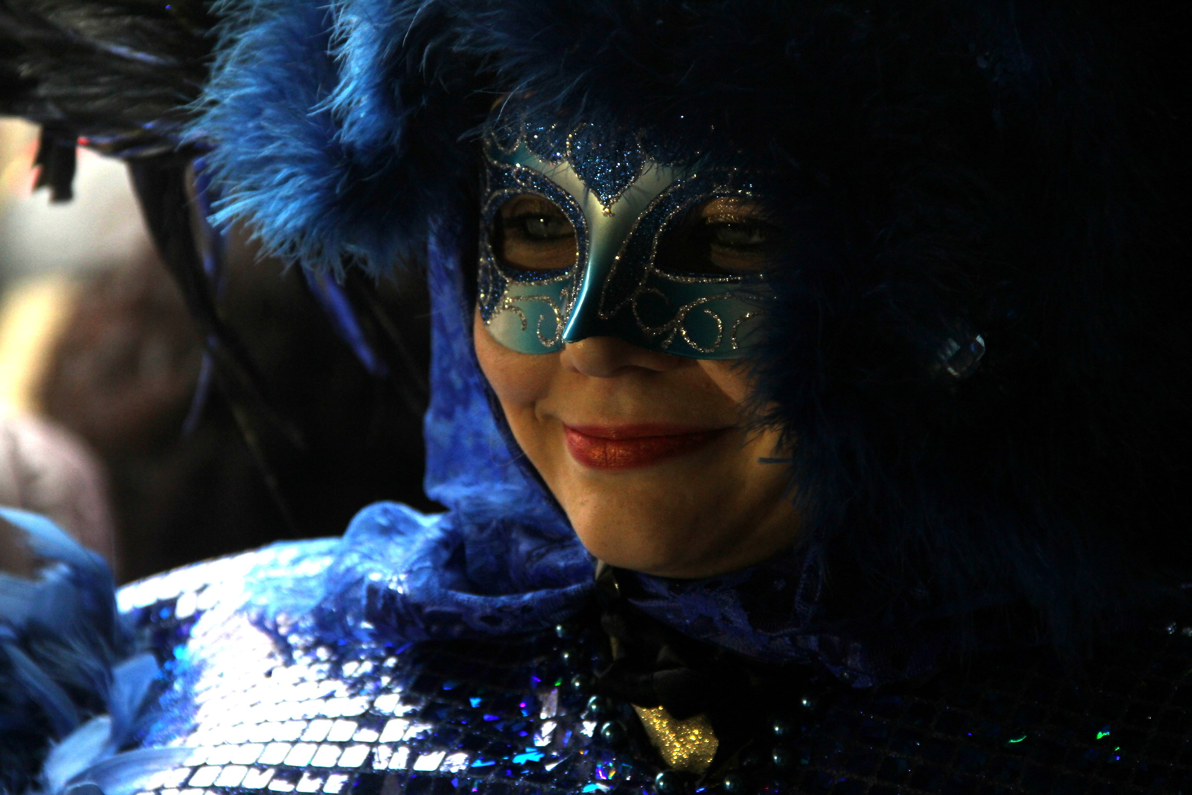 Venice Carnival 1