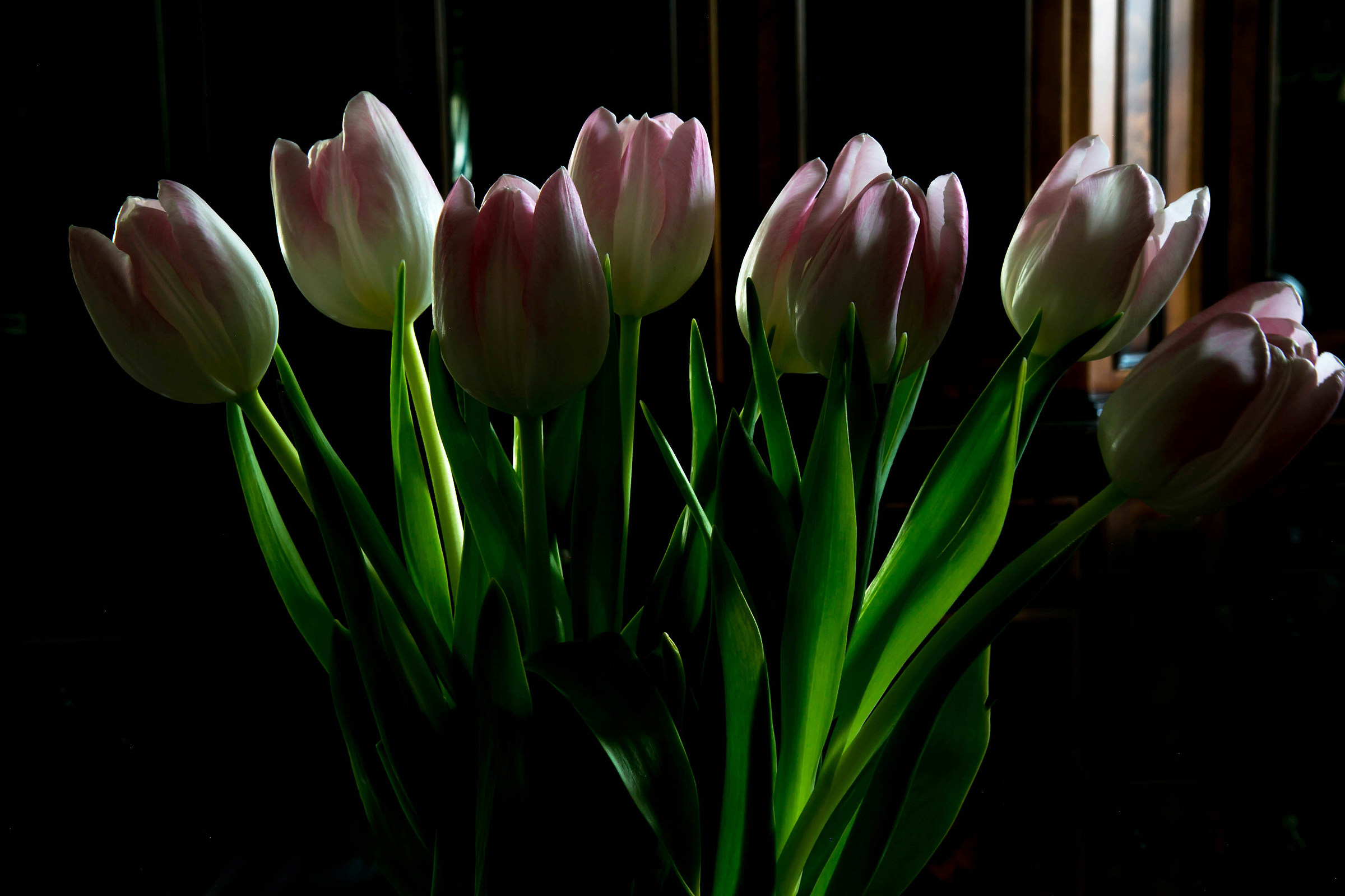 fiori per la nostra gioia