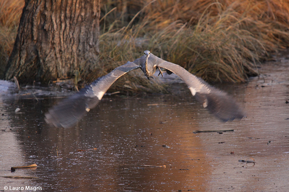 I swear, I'm not mad