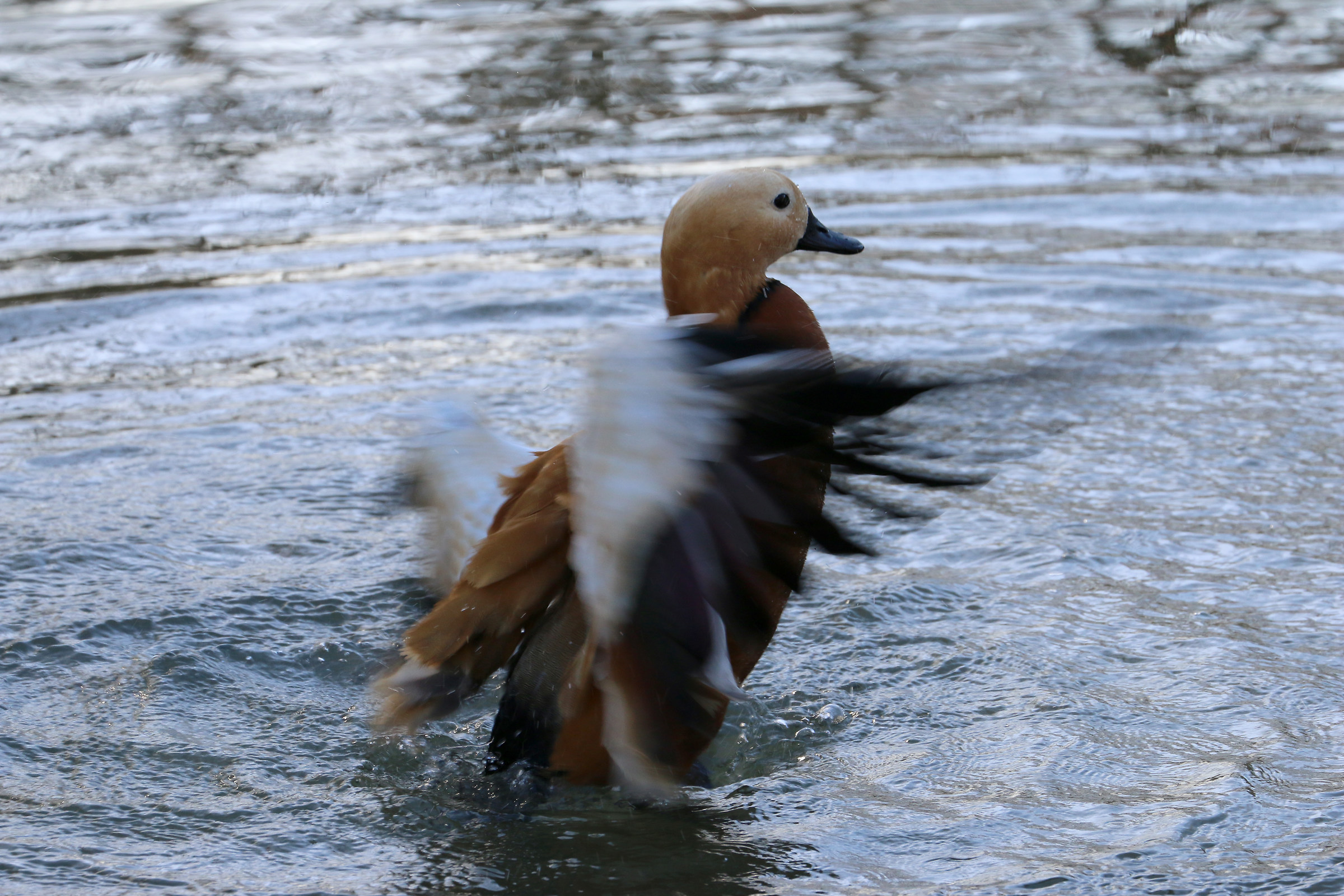 After a morning swim