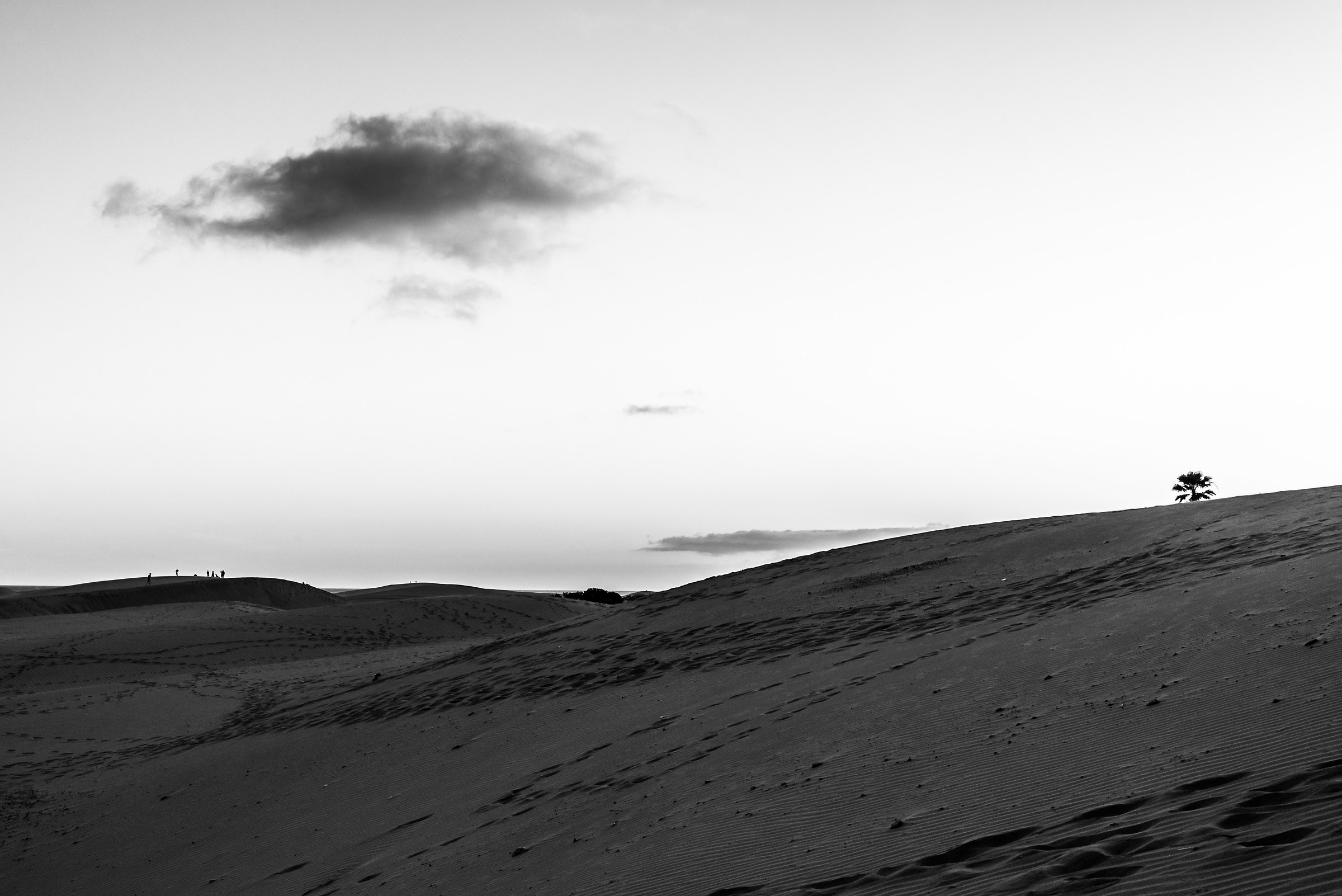 still dunes