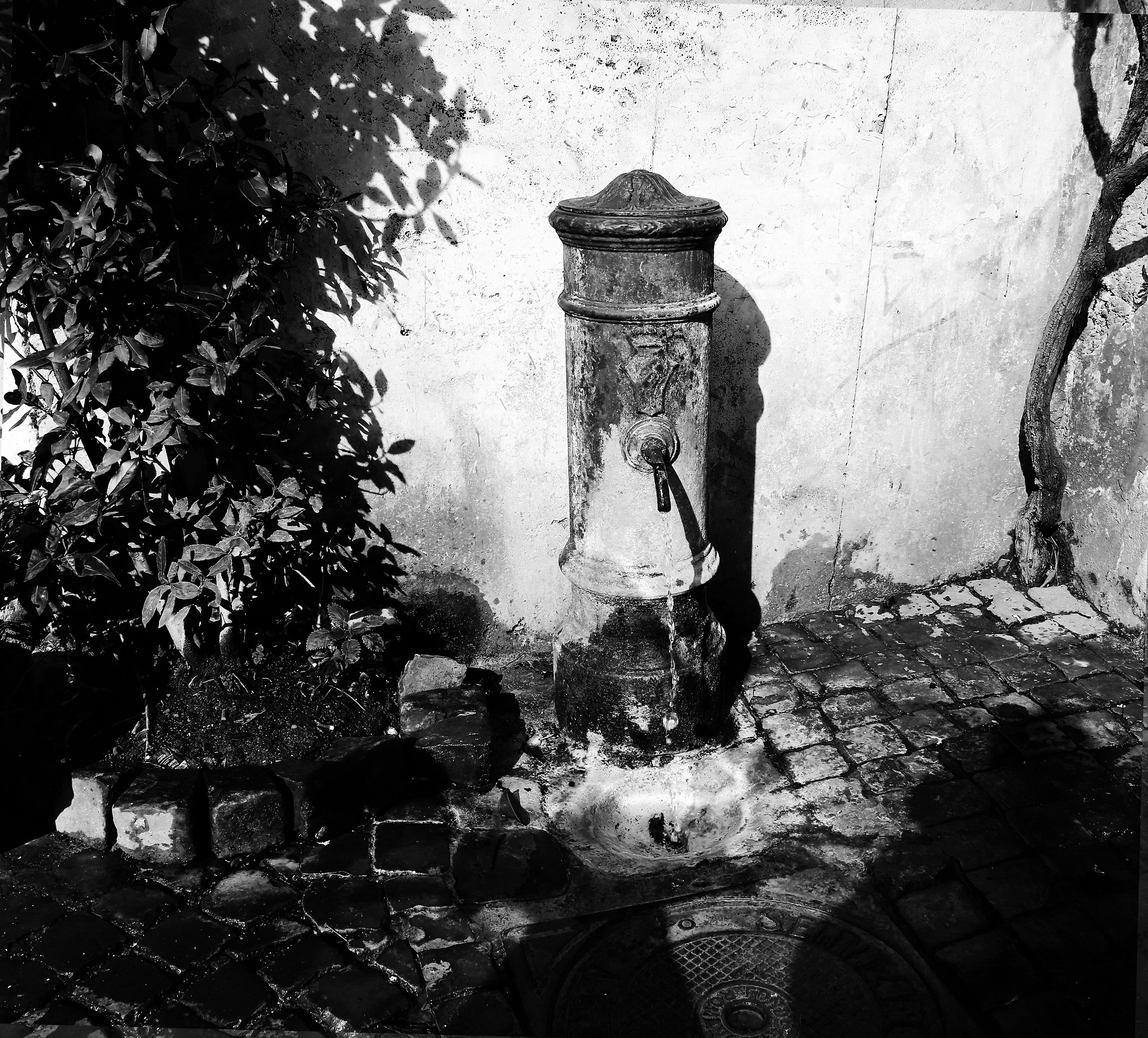 Fontanella di Trastevere