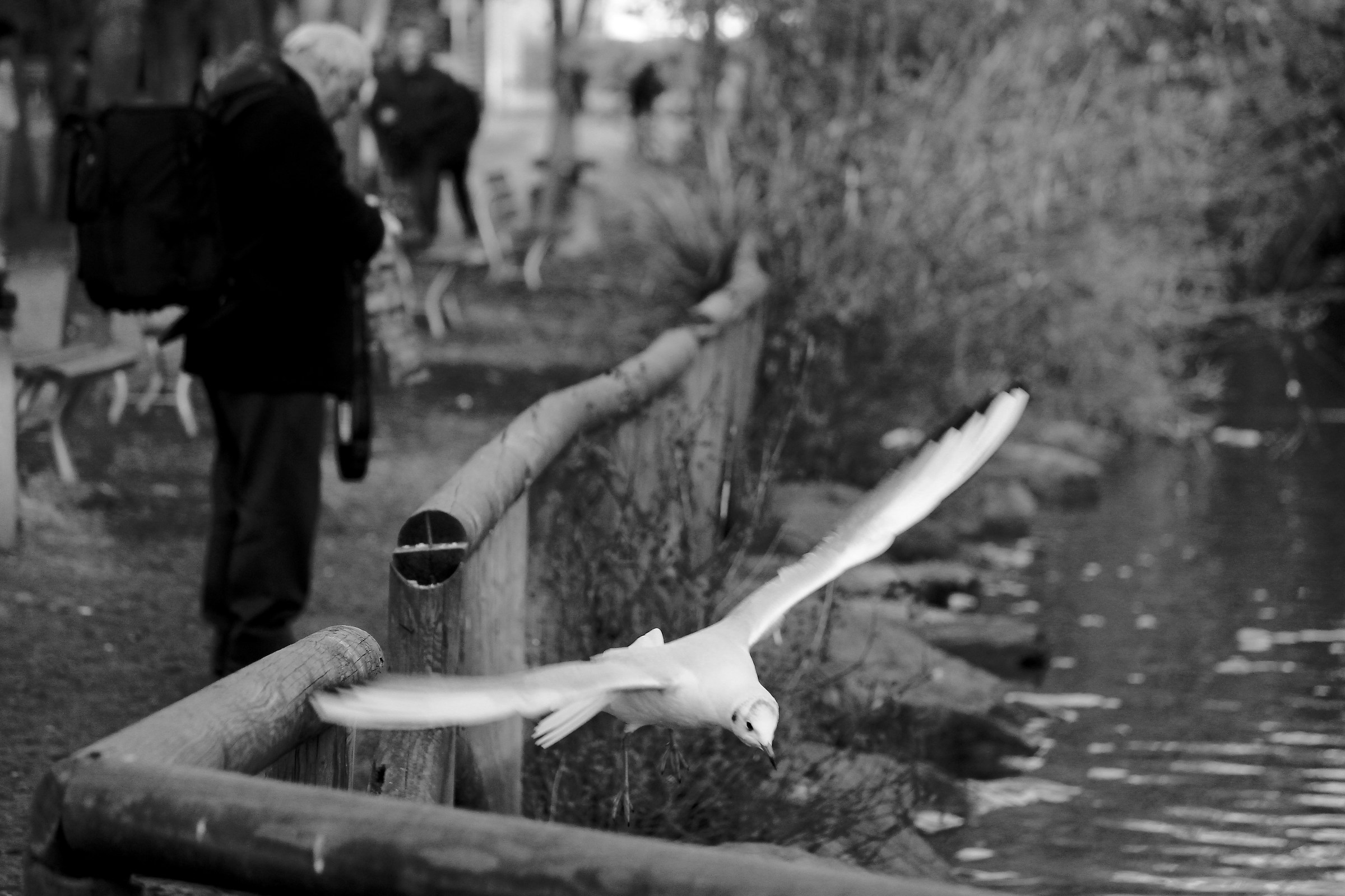 Chi dorme ..non piglia l'uccellino