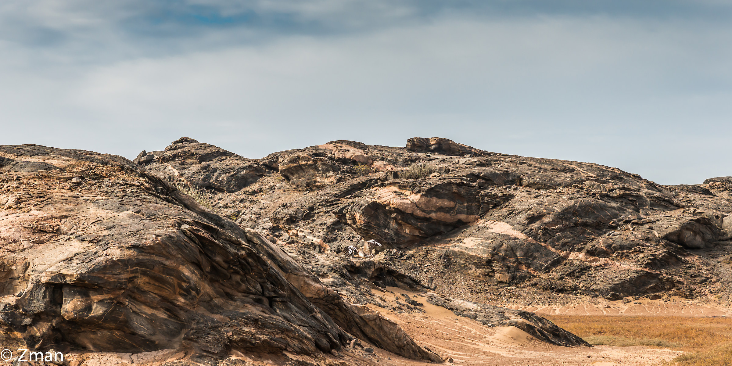 Purity of The Desert