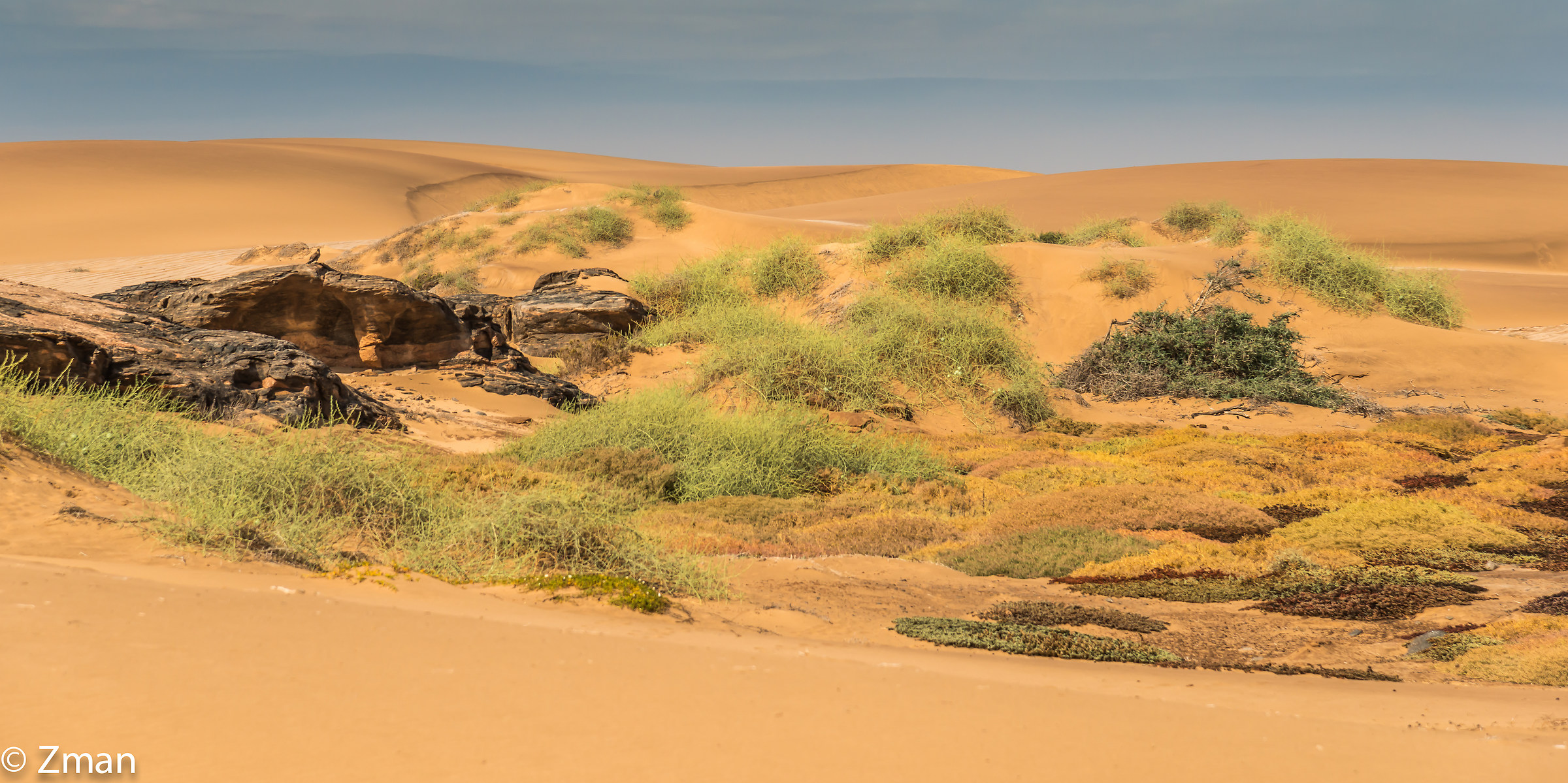 Purity of The Desert