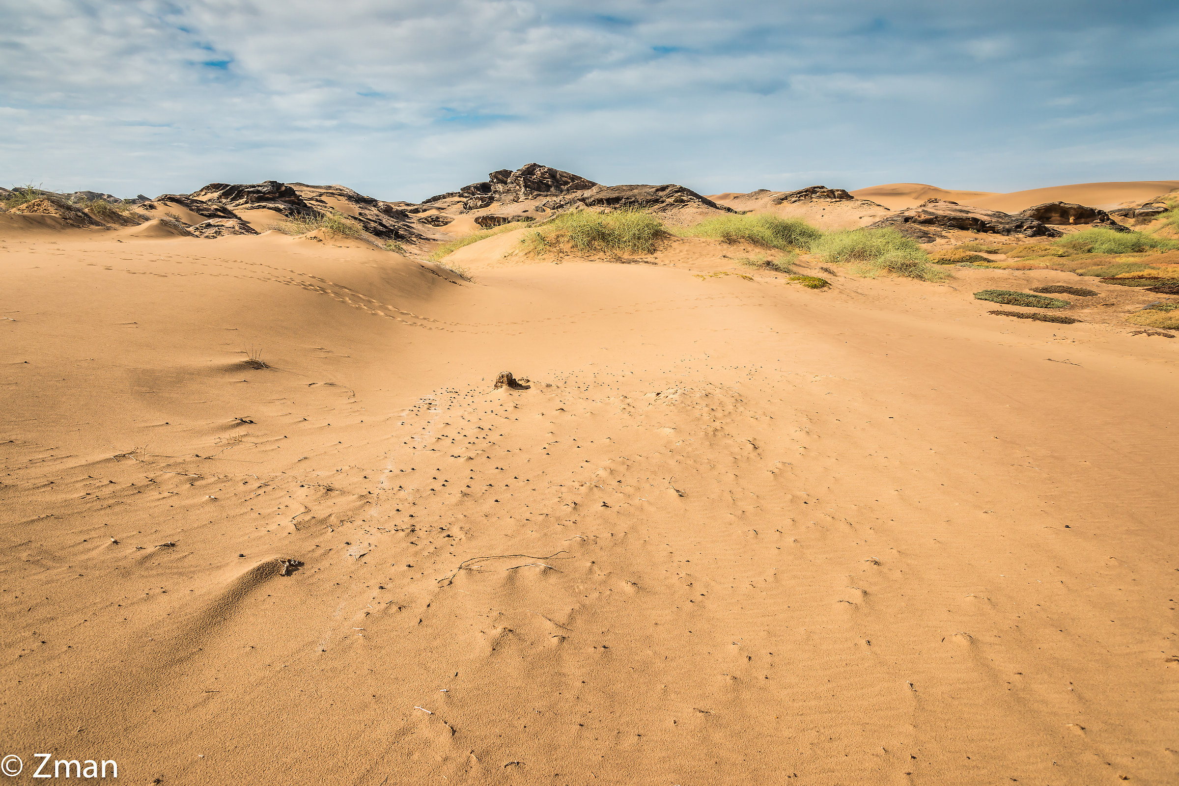 Purity of The Desert