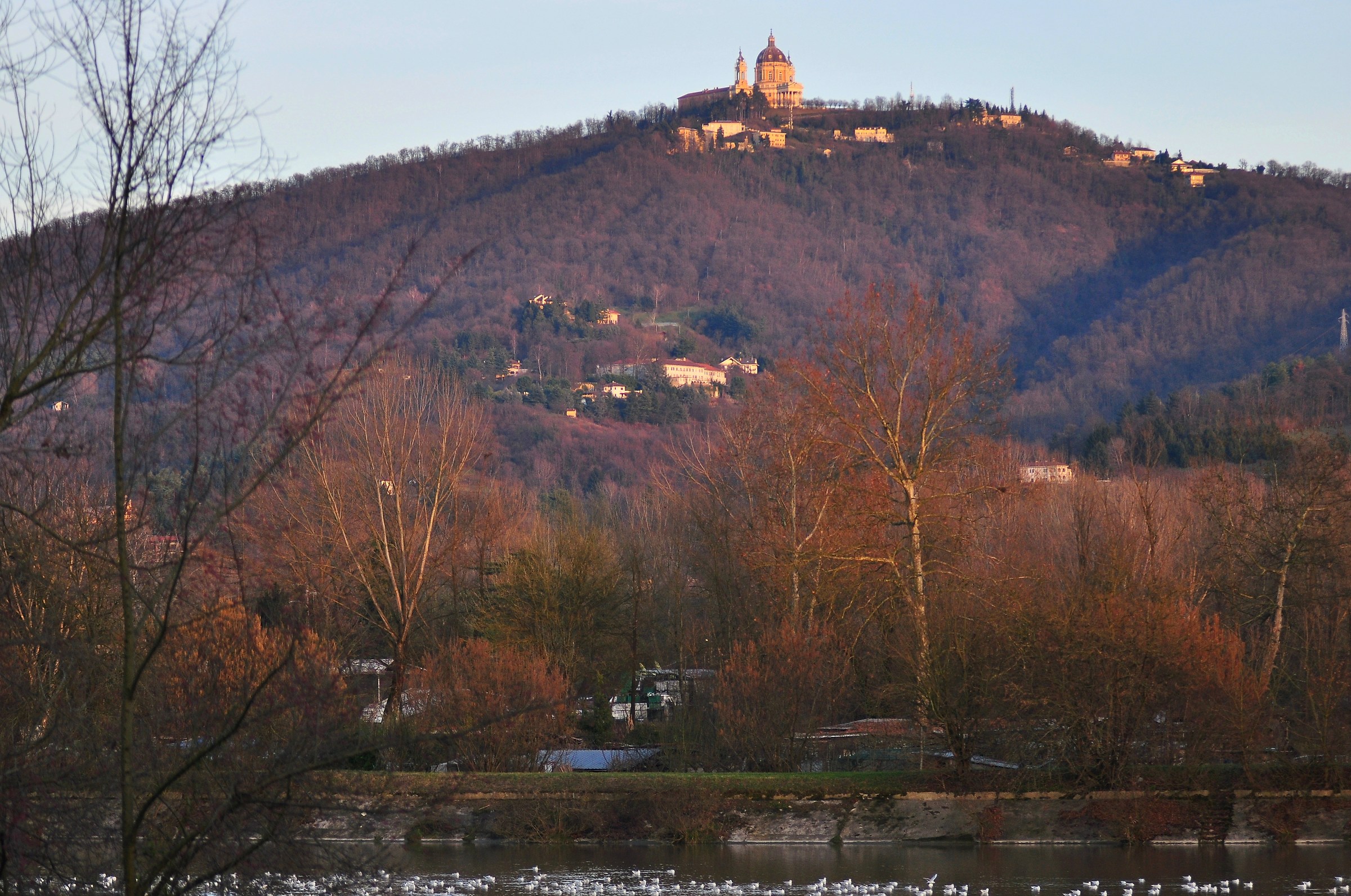 golden evening at Colletta