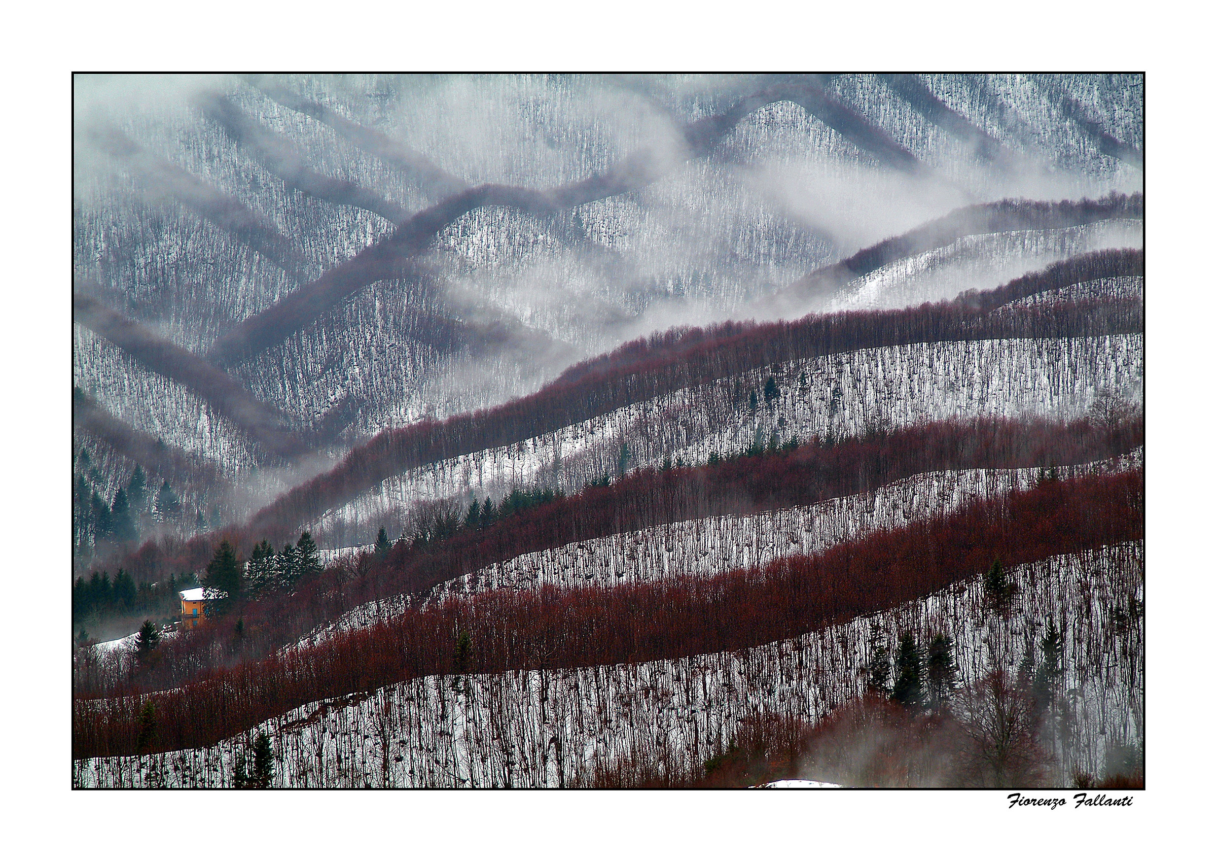 ... Winter Crinali ...