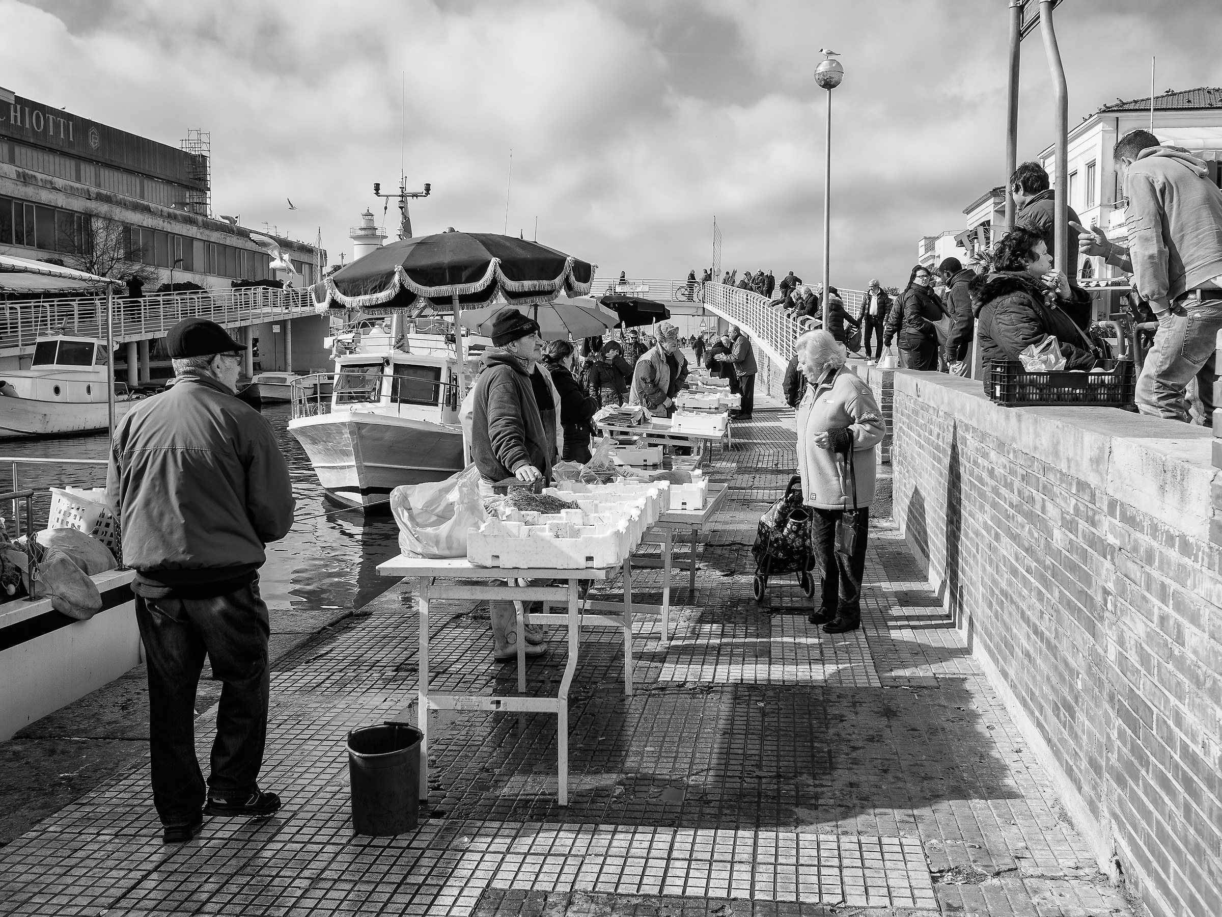 Viareggio fish market