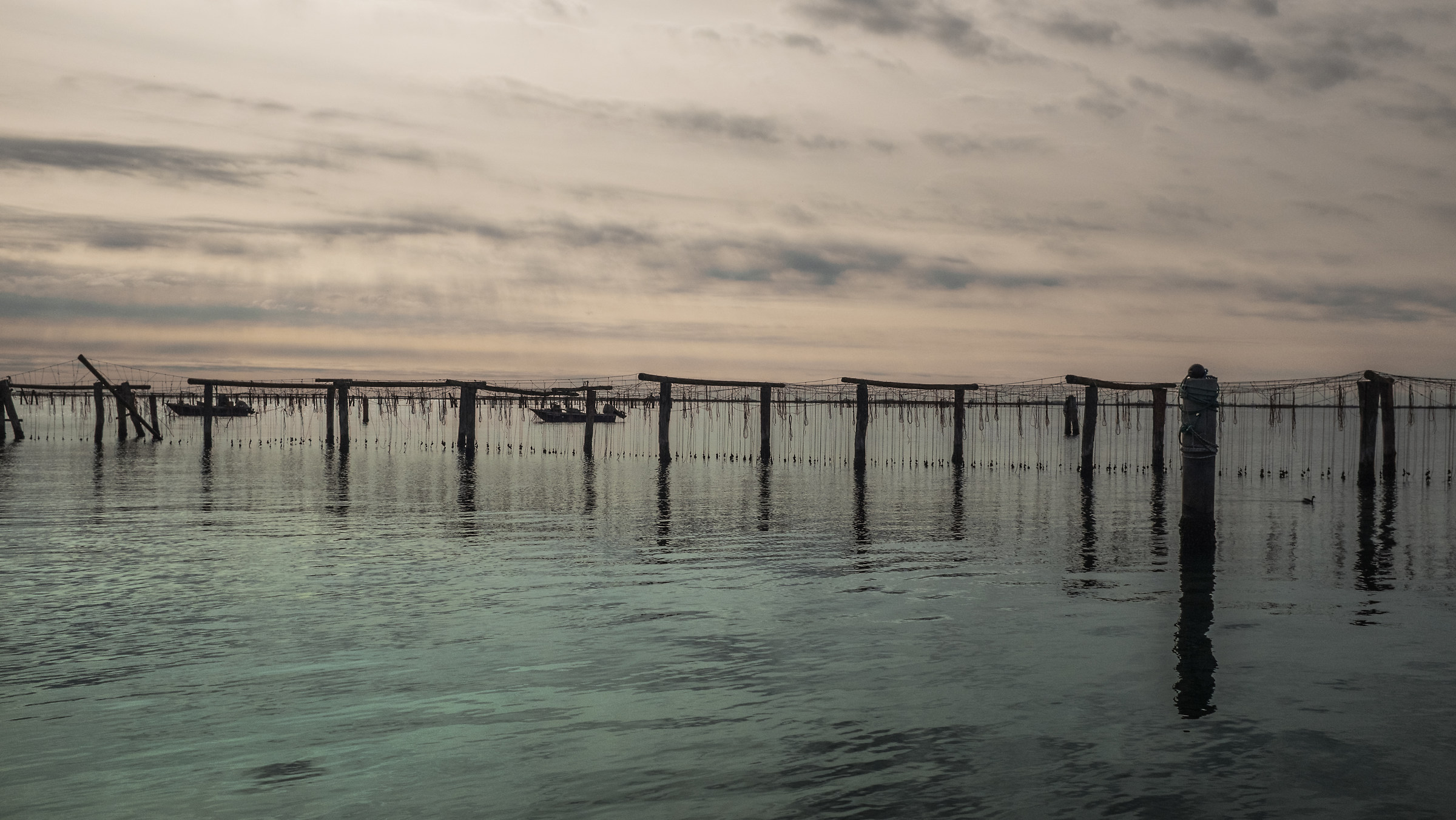 la sacca di Scardovari località Bonelli