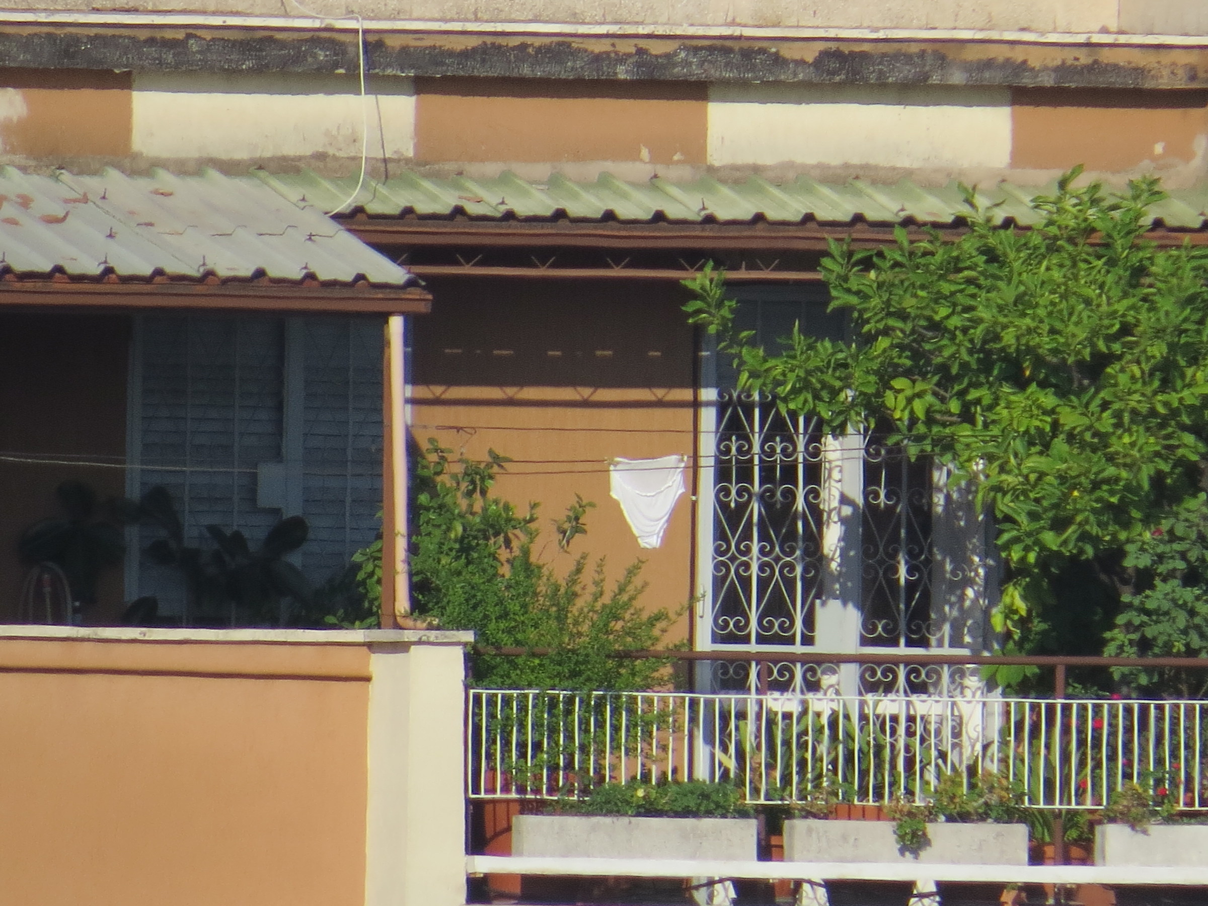 There are left only those