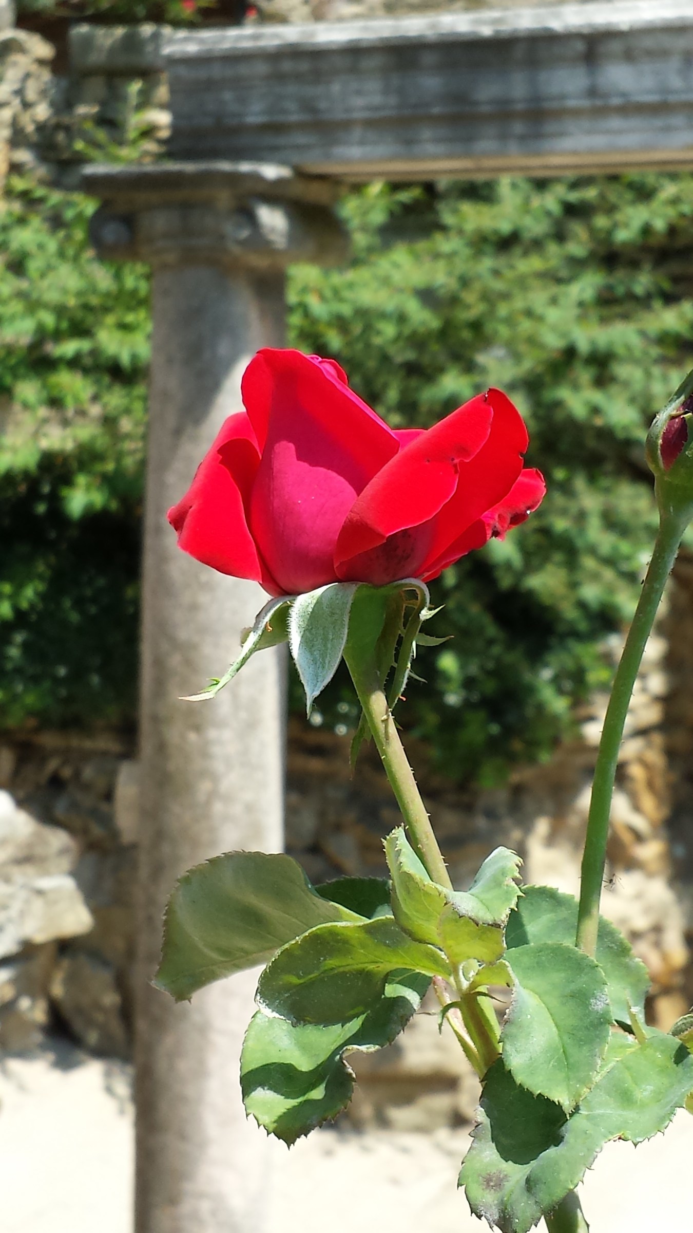 Pasisione and history ...