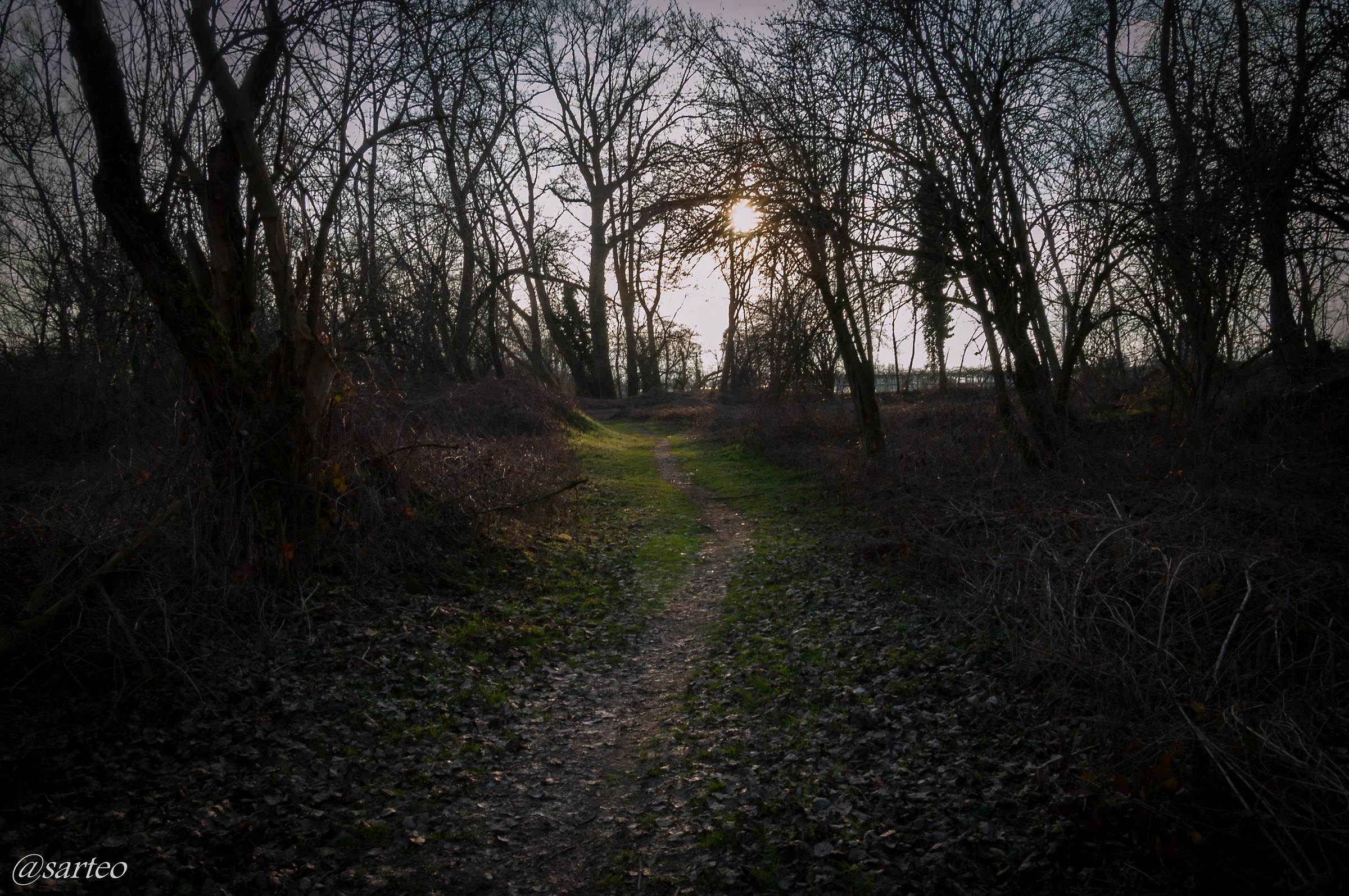 sentiero al tramonto