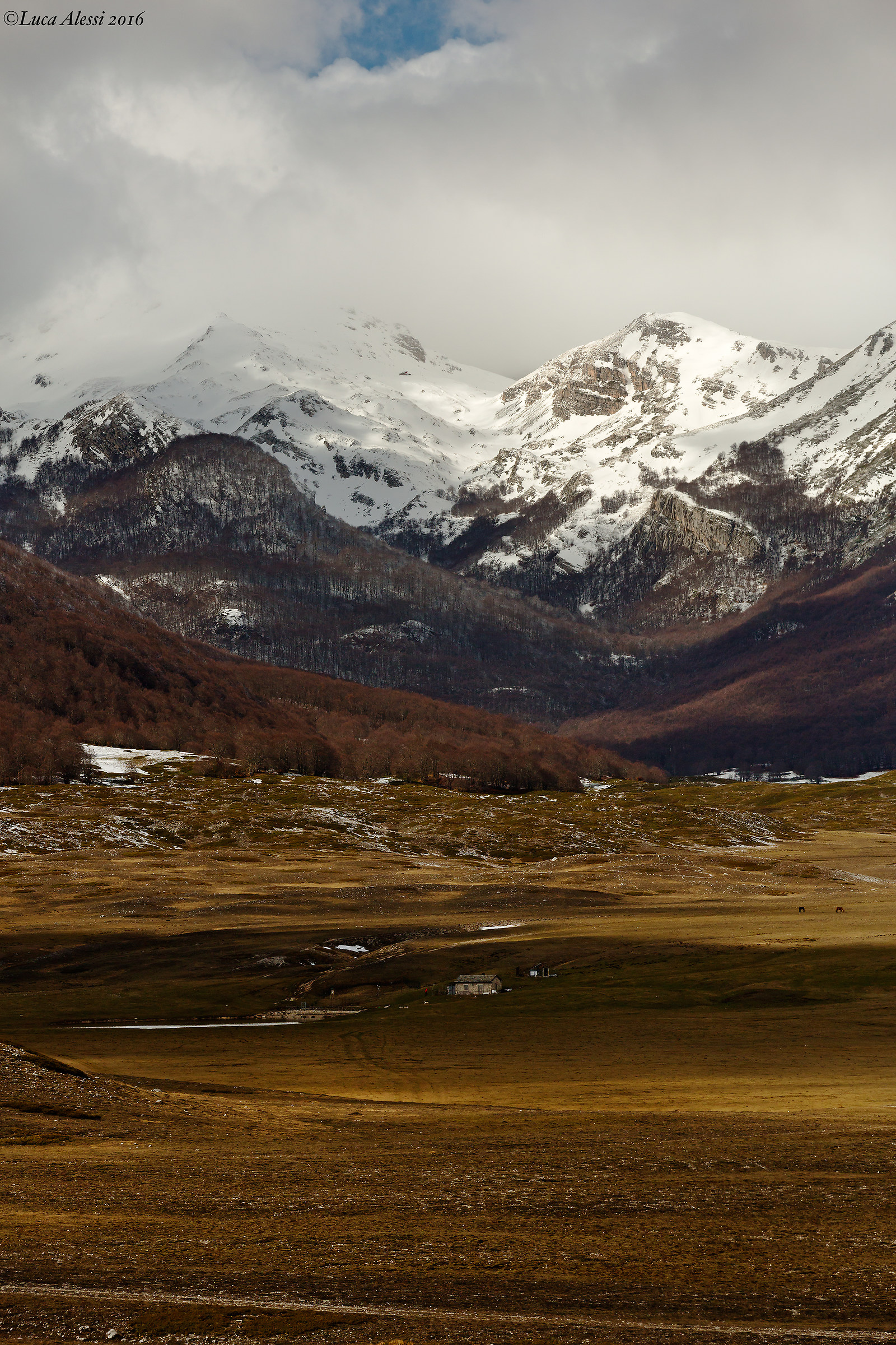 The Piani di Abruzzo wild