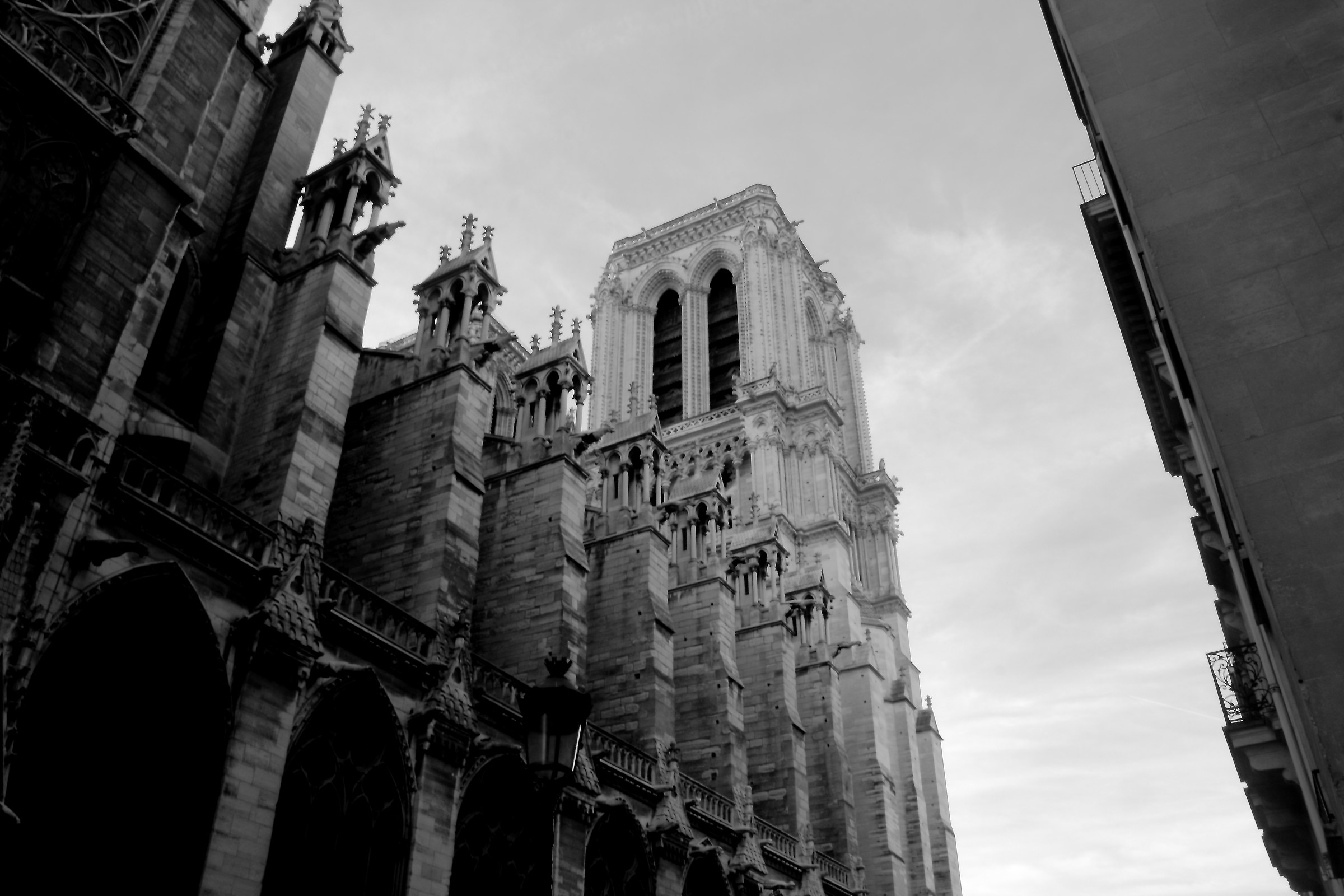 liberi muratori (beati loro)