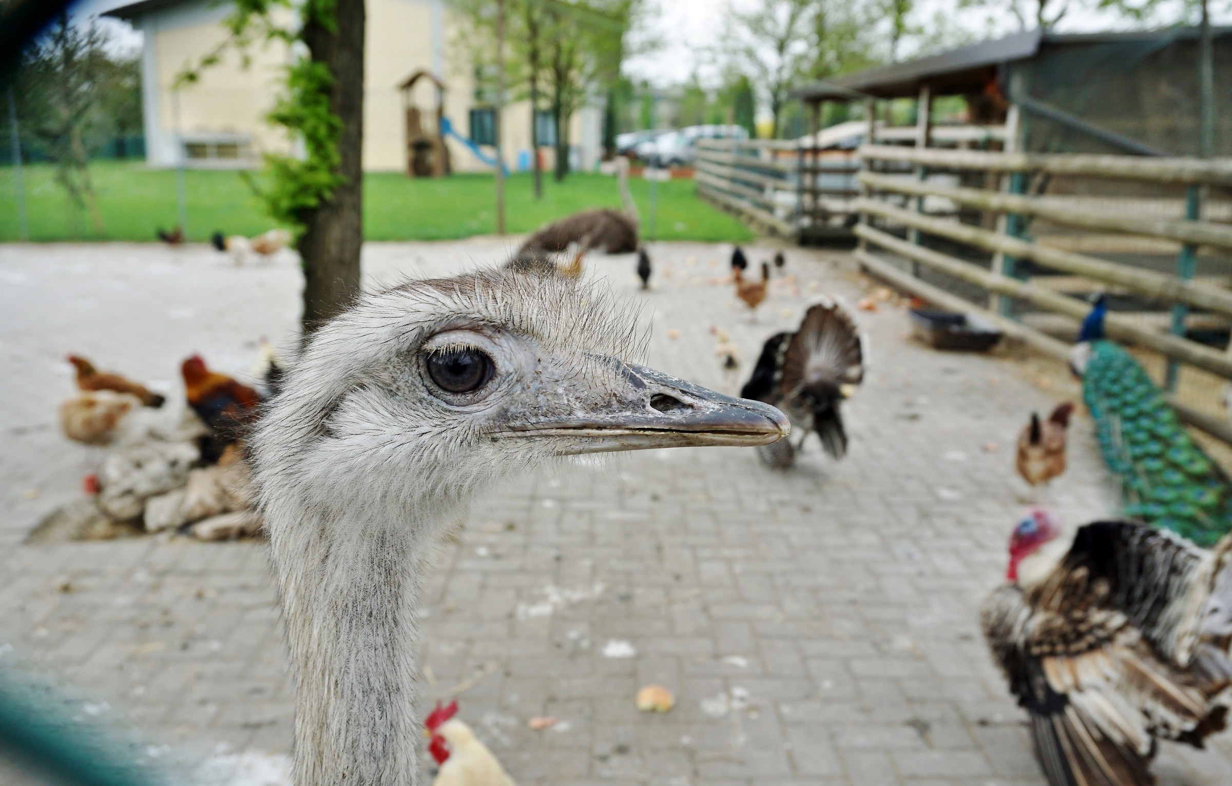 Guarda che ti vedo..