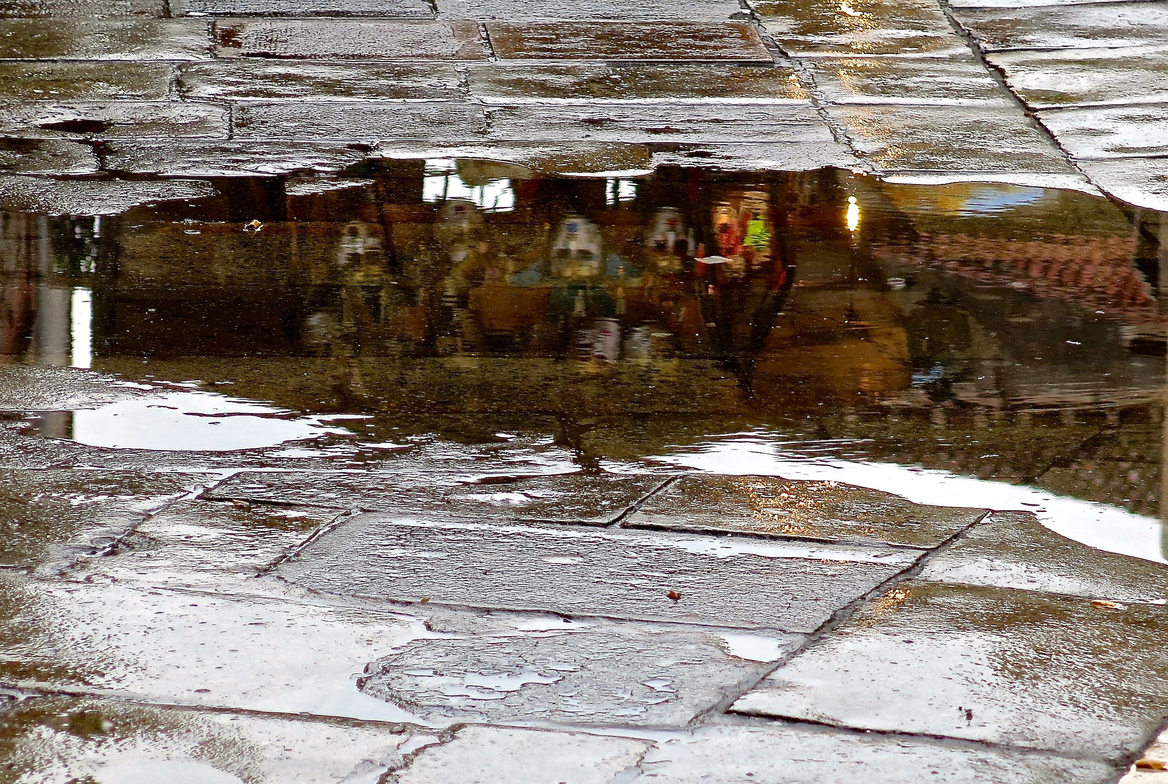 Venezia in una pozzanghera