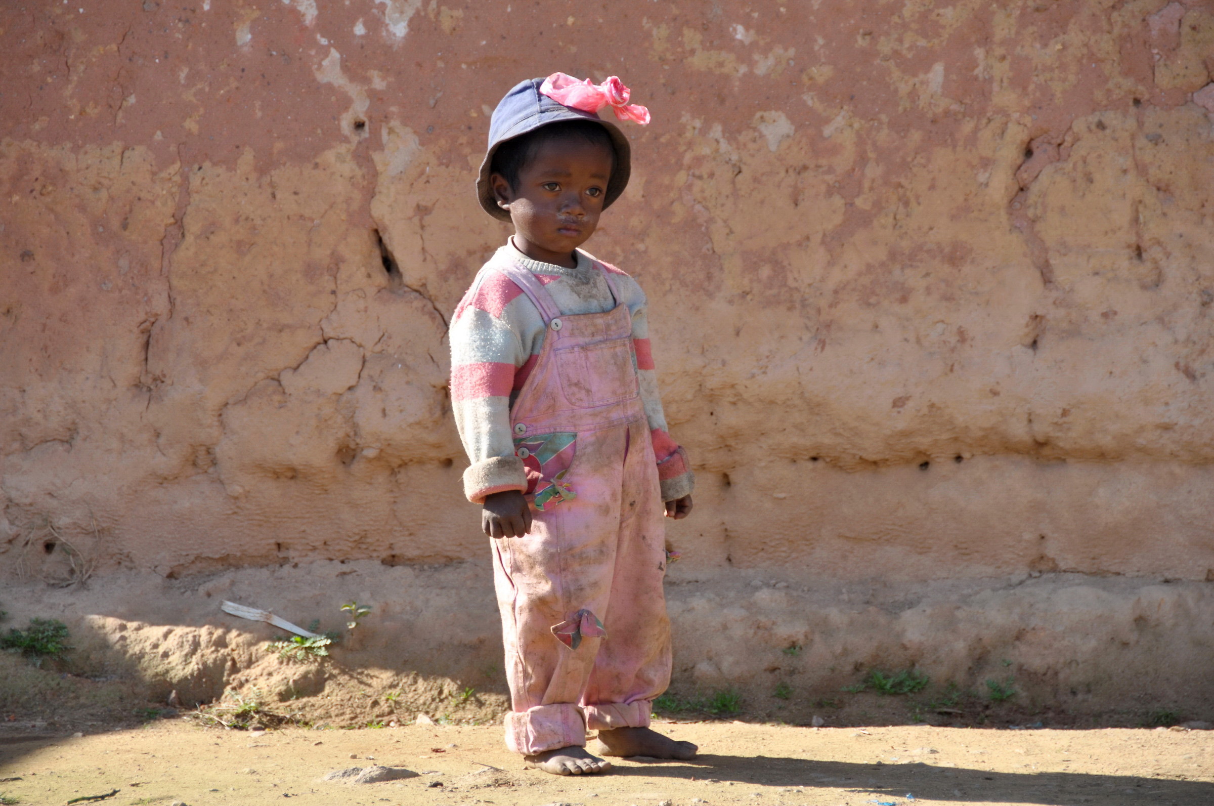 Little Pink Madagascar