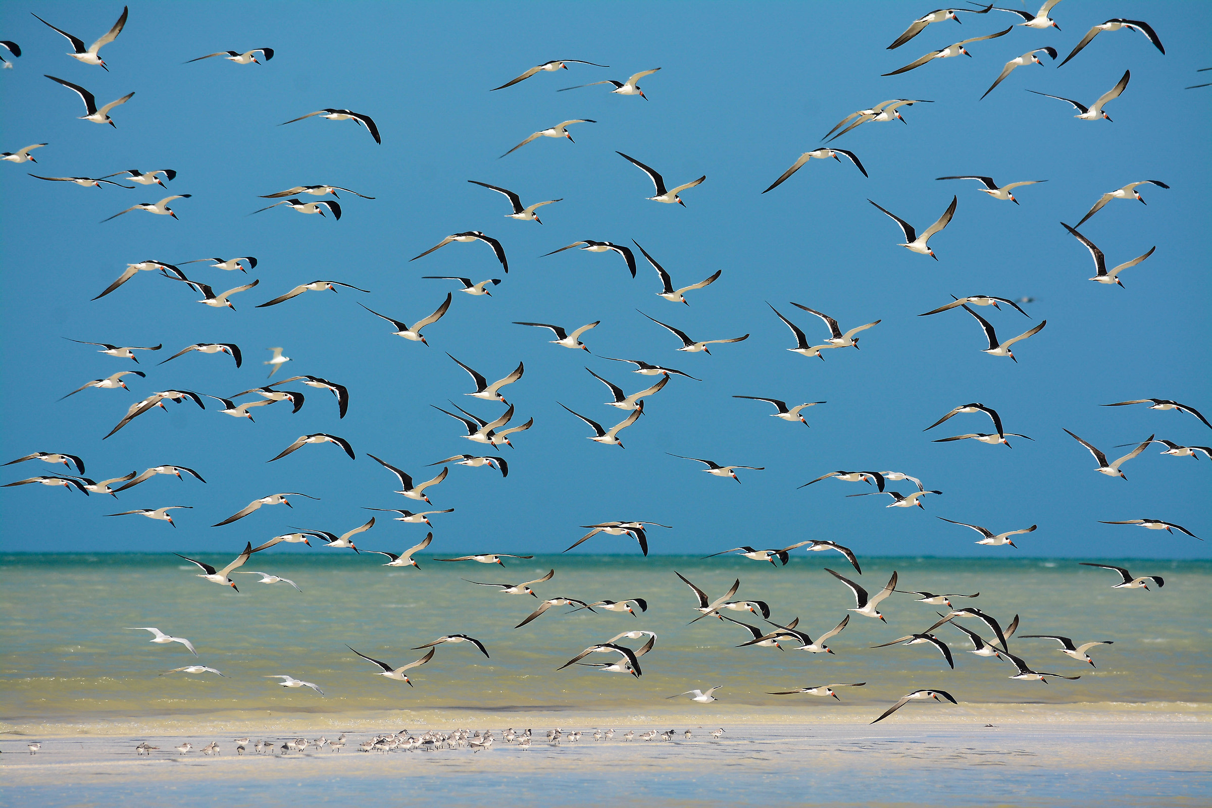 That sense of freedom