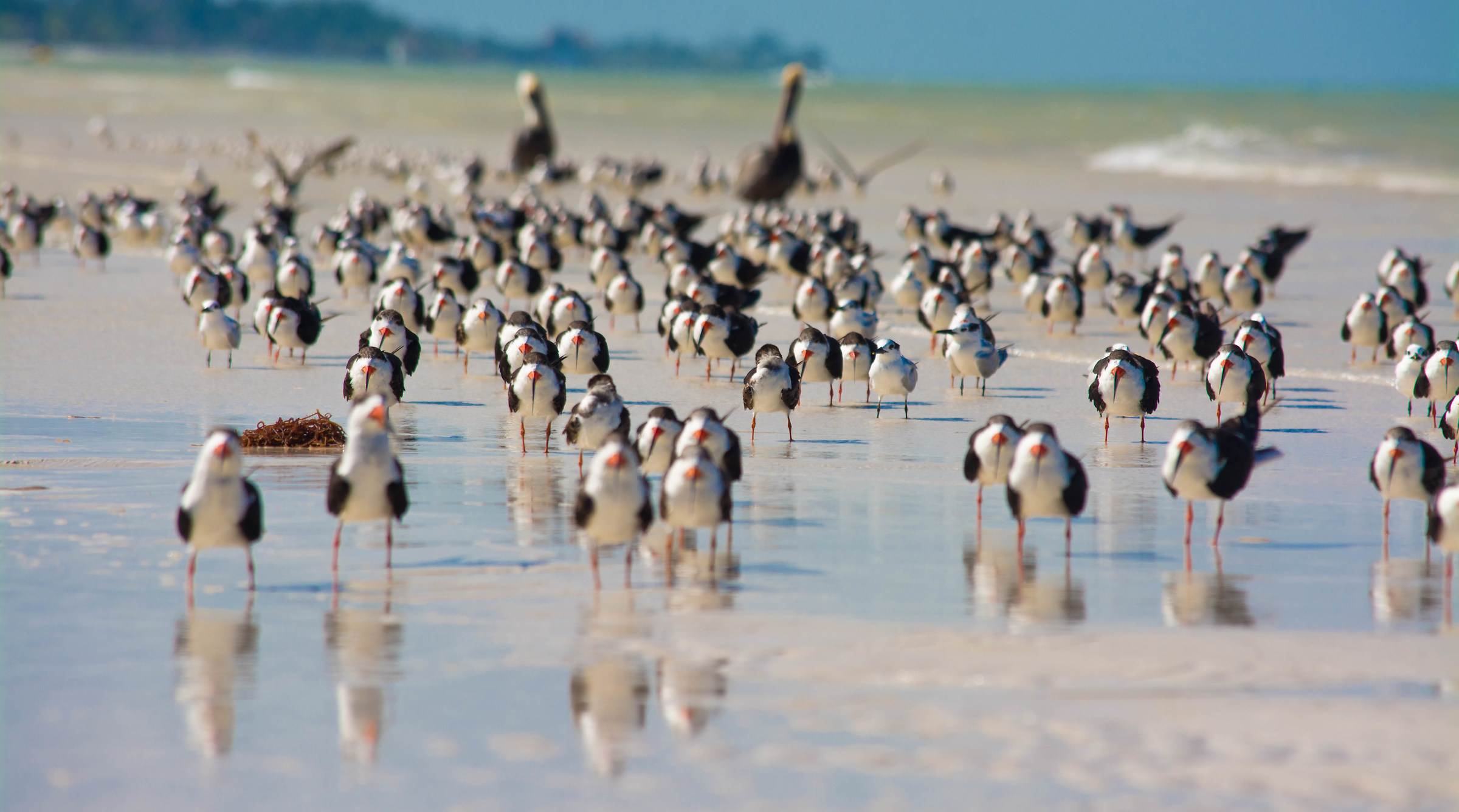Guardatemi tutti....
