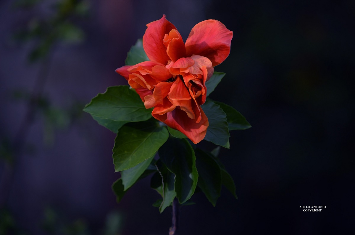 Nature's magnificence