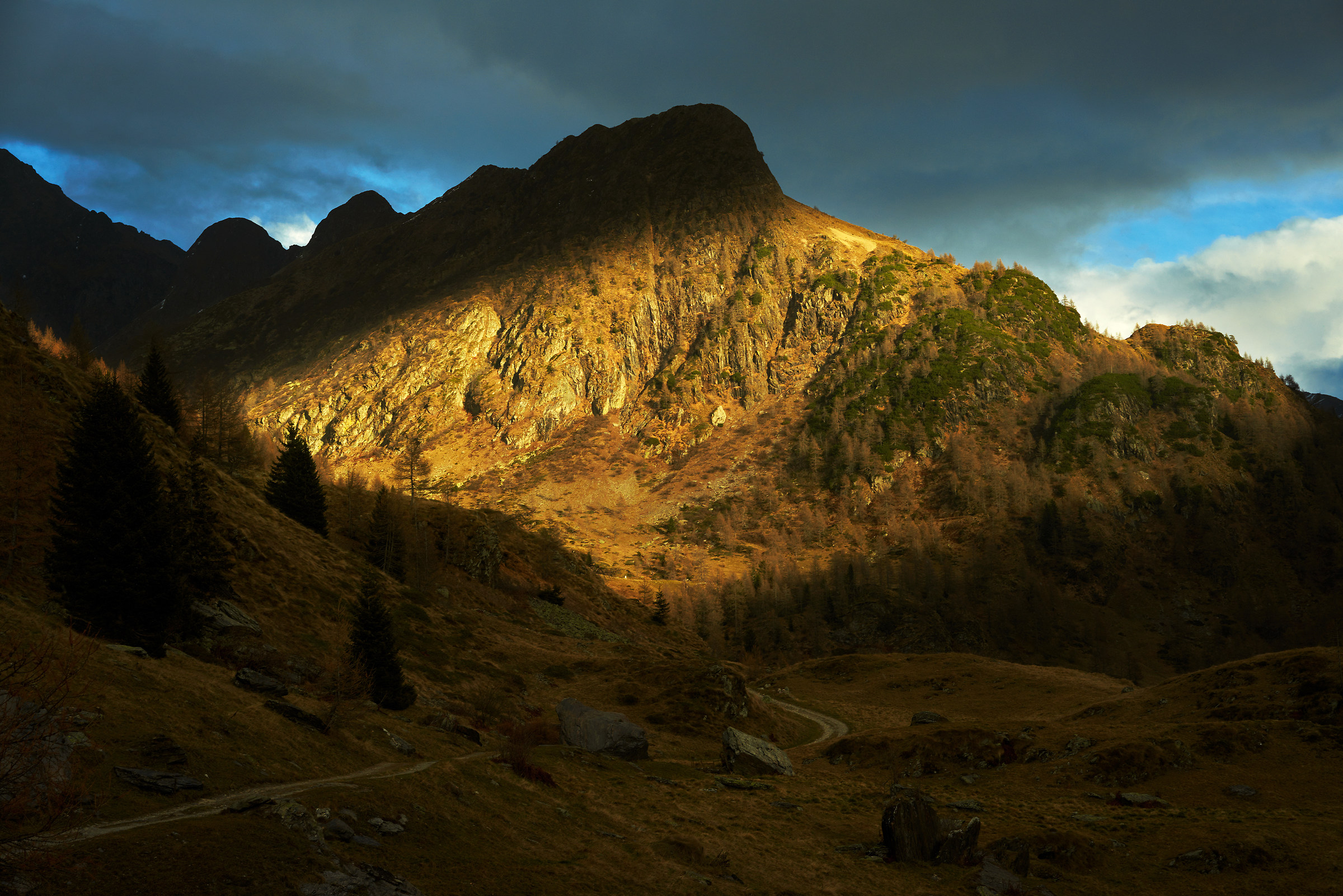 the light was expecting