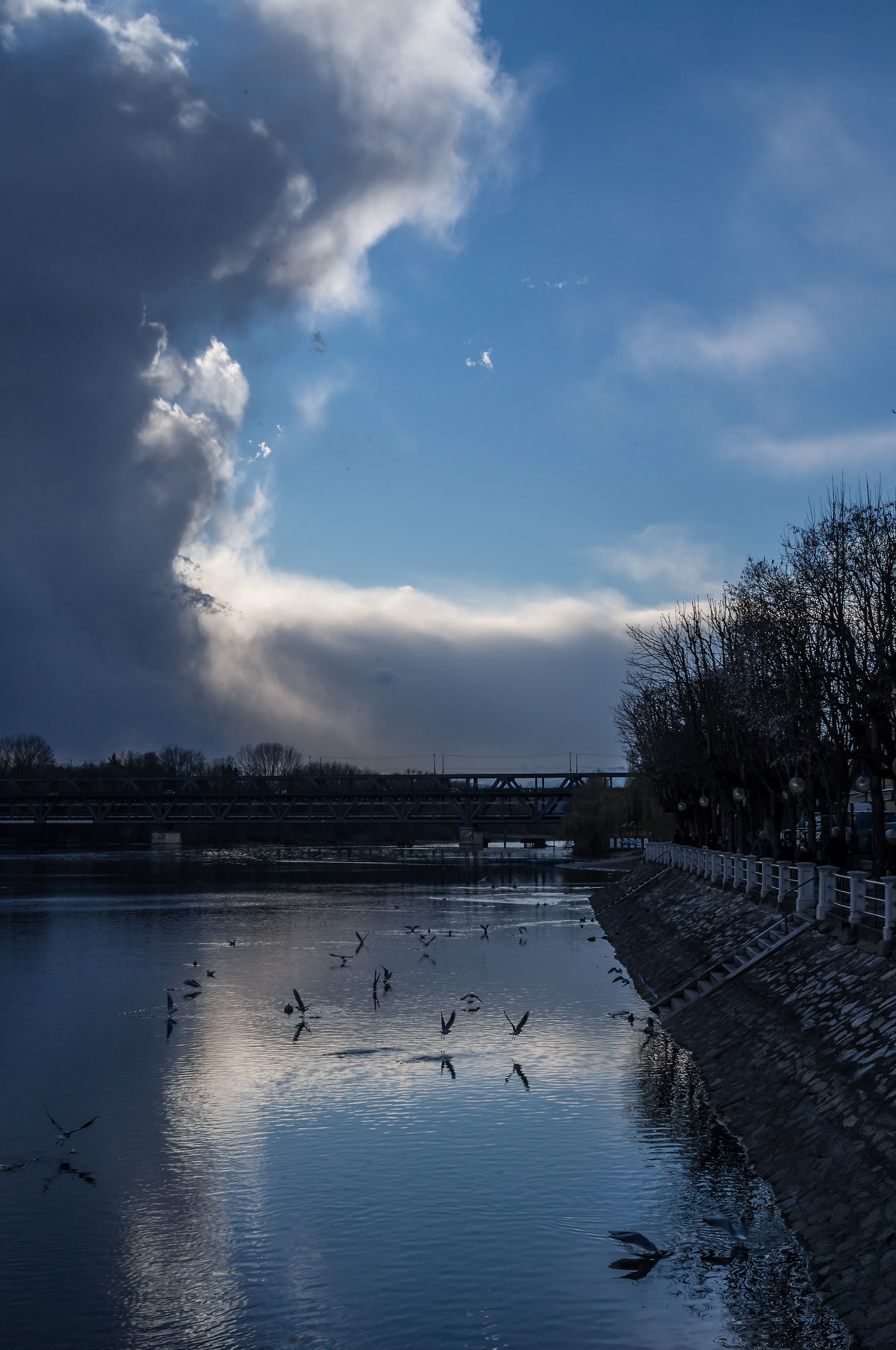 Pomeriggio di marzo 5