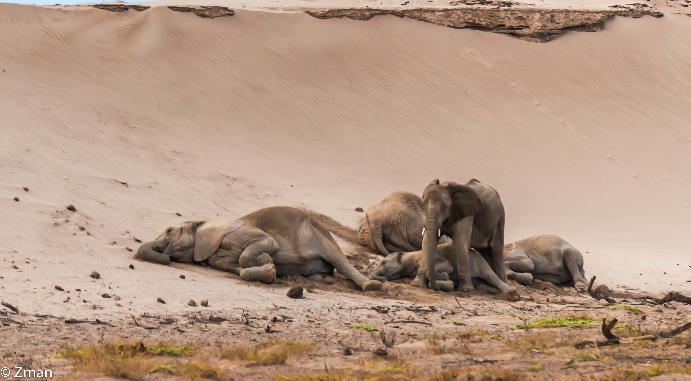 Famiglia ancora addormentato