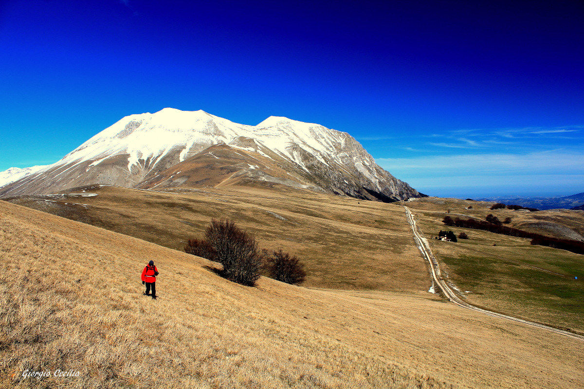 Castelluccio "Carrier"