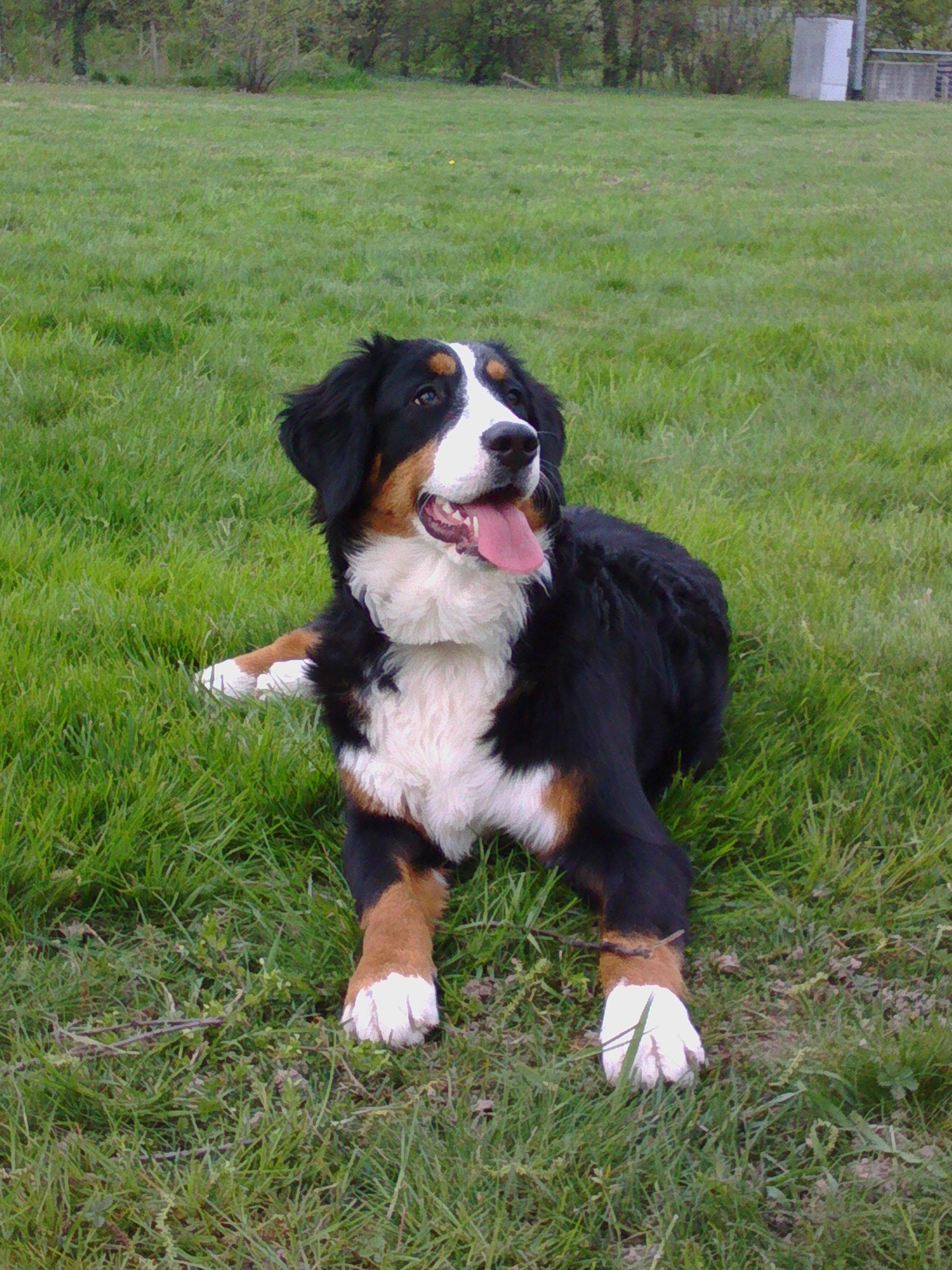 Sto boccheggiando con questo caldo