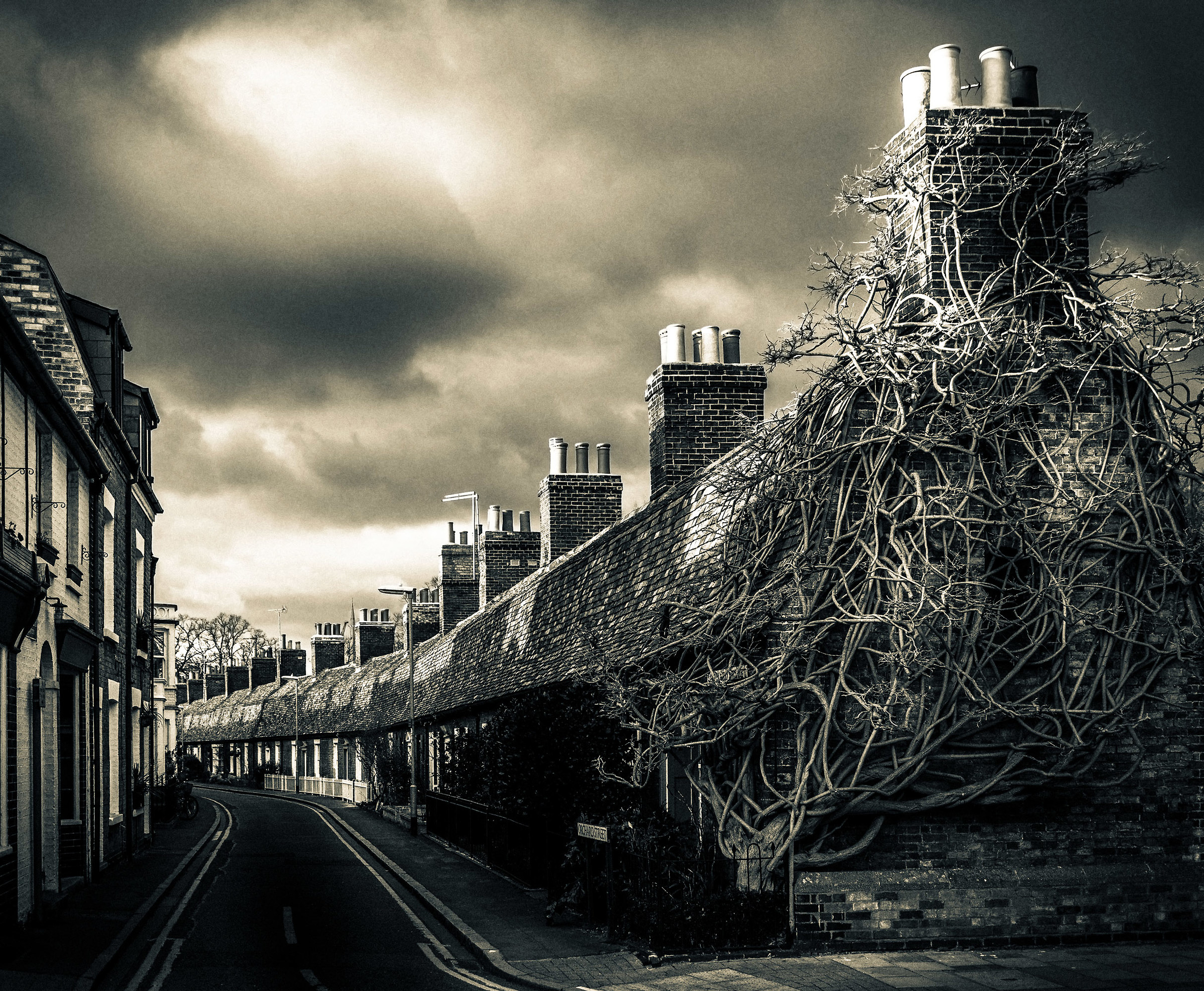Clarendon street, Cambridge