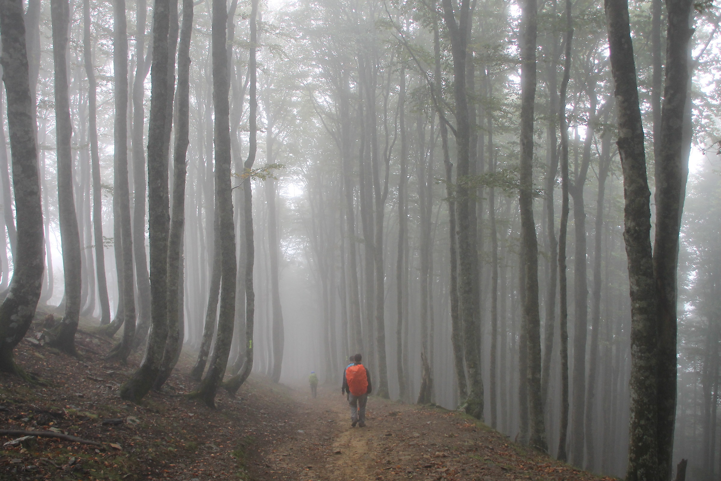 Walking in the Pyrenees